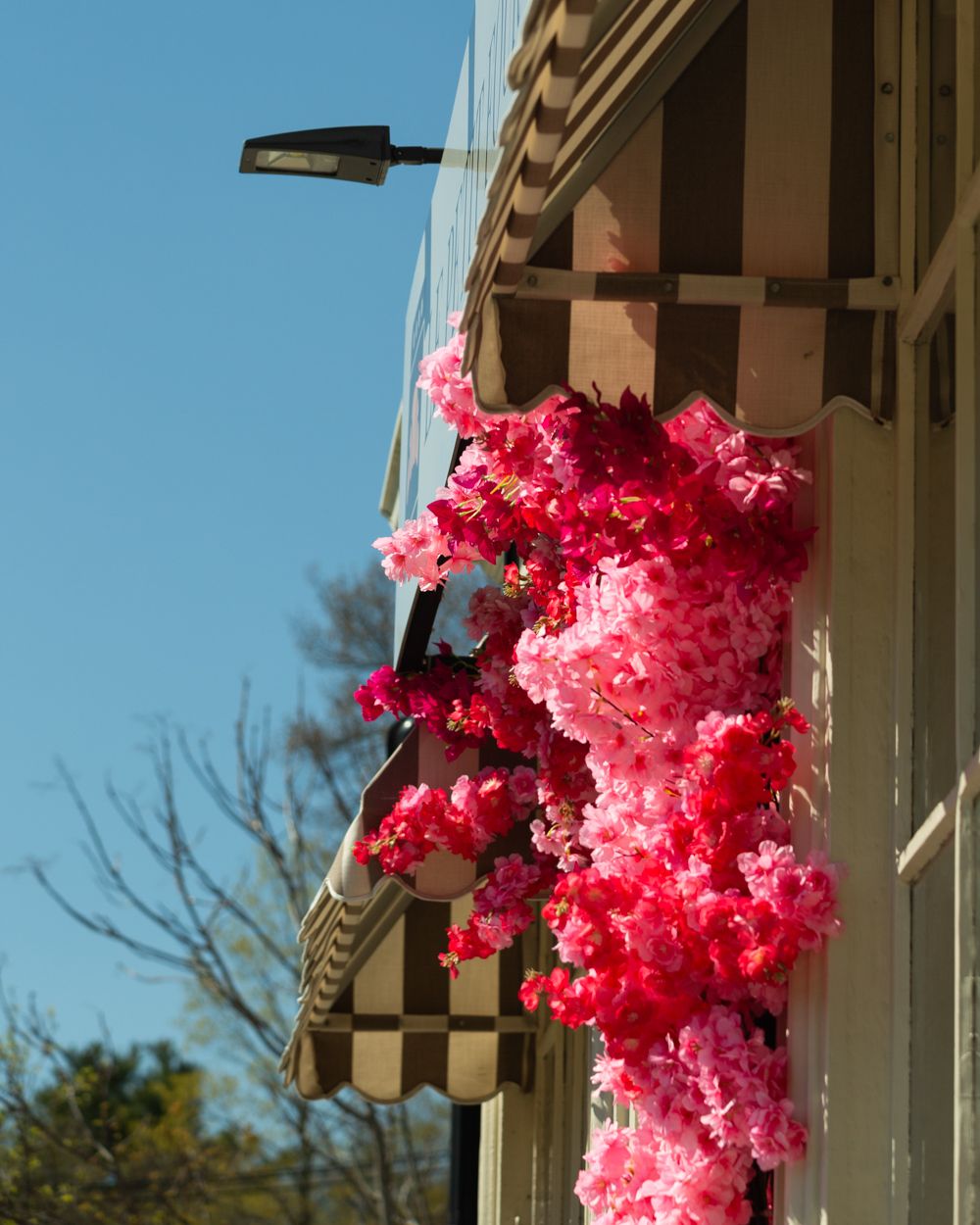 Pink artificial cherry blossom flowers decorating the side of a storefront with striped awning and blue sky.