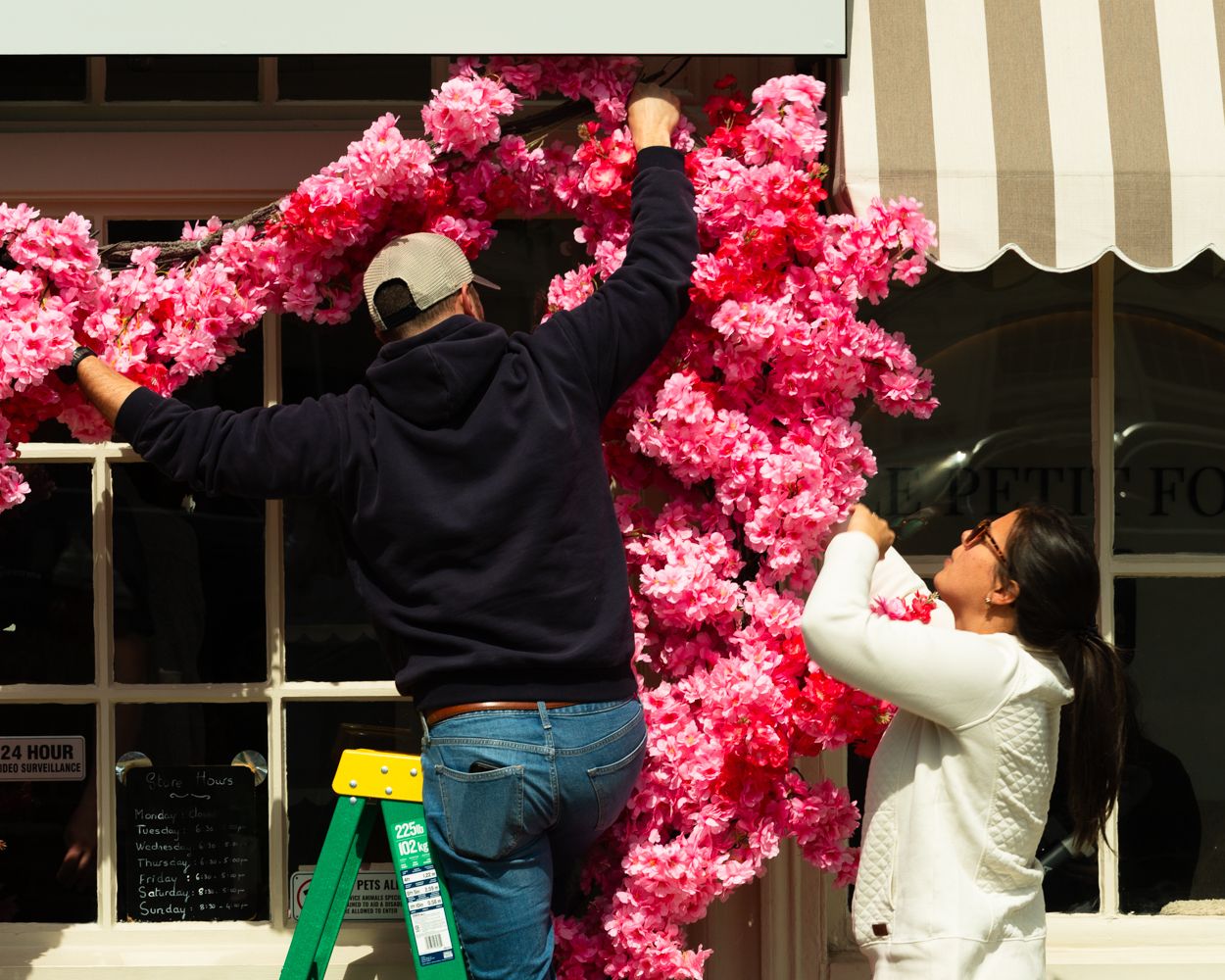Two people installing pink cherry blossom flower decorations on a storefront using a green ladder.