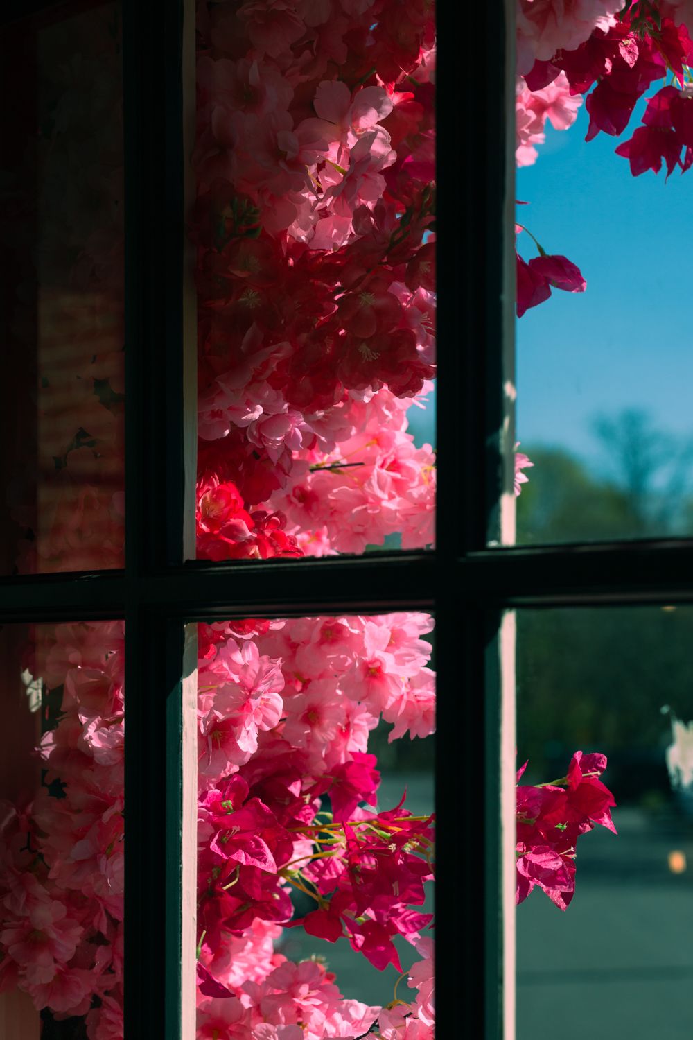 Pink and red artificial cherry blossom flowers viewed through a dark-framed window with blue sky background.