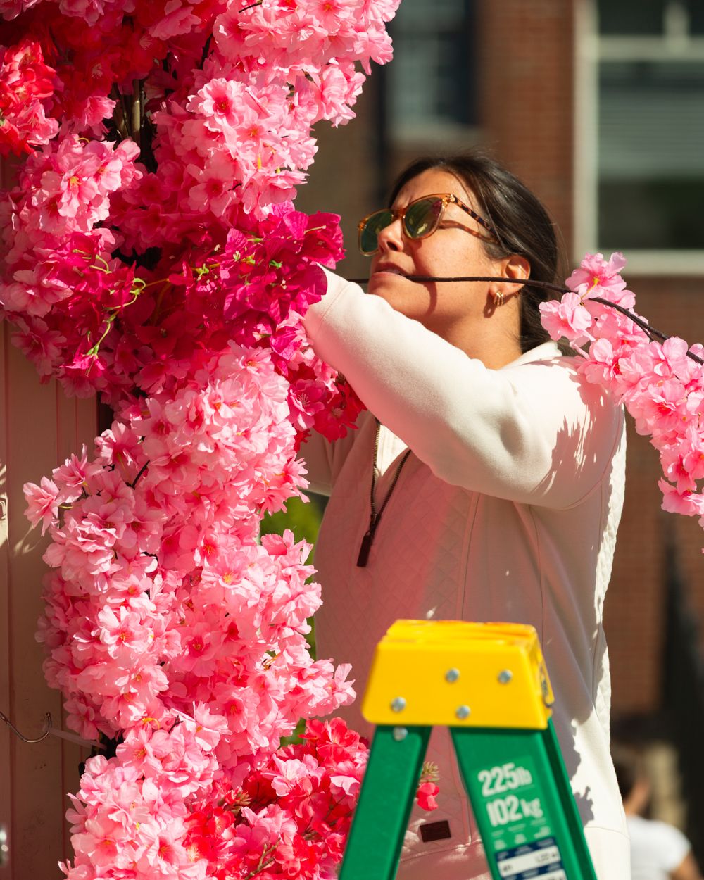 Woman in white sweater arranging pink artificial cherry blossom flowers on storefront display with green ladder.