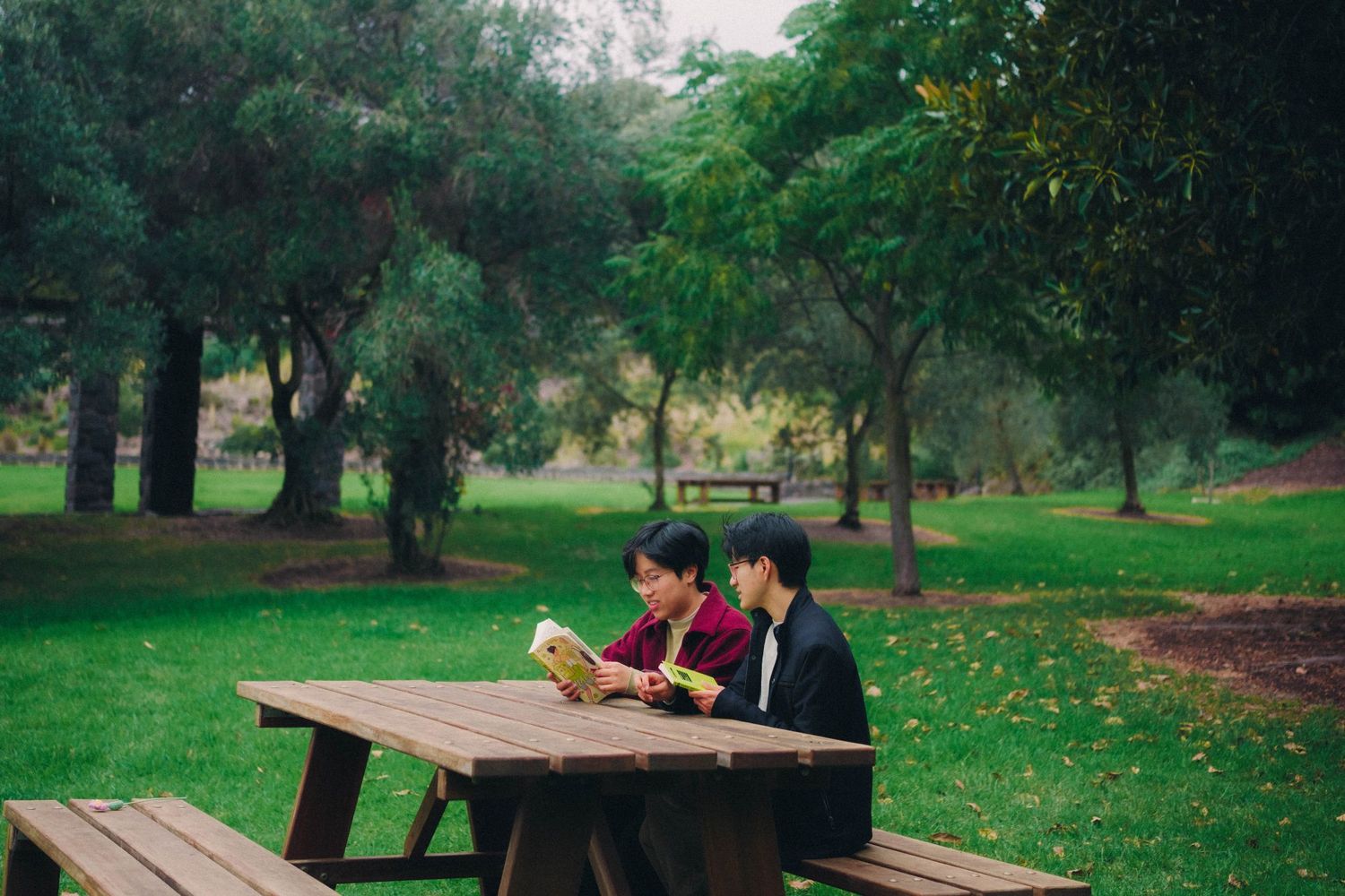 Two people reading a book together at a wooden picnic table in a lush green park.