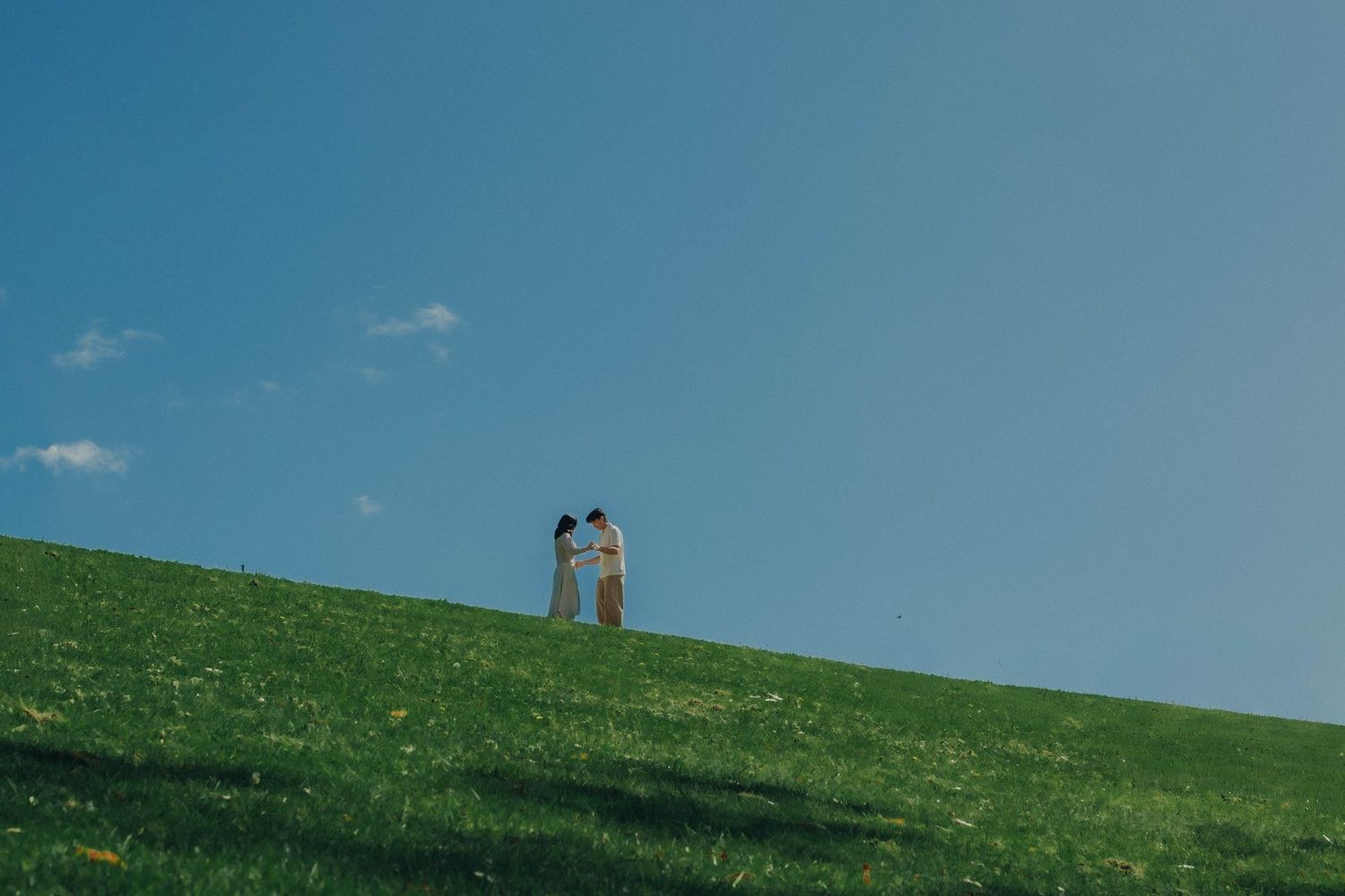 Two people holding hands on a green hillside under a bright blue sky.