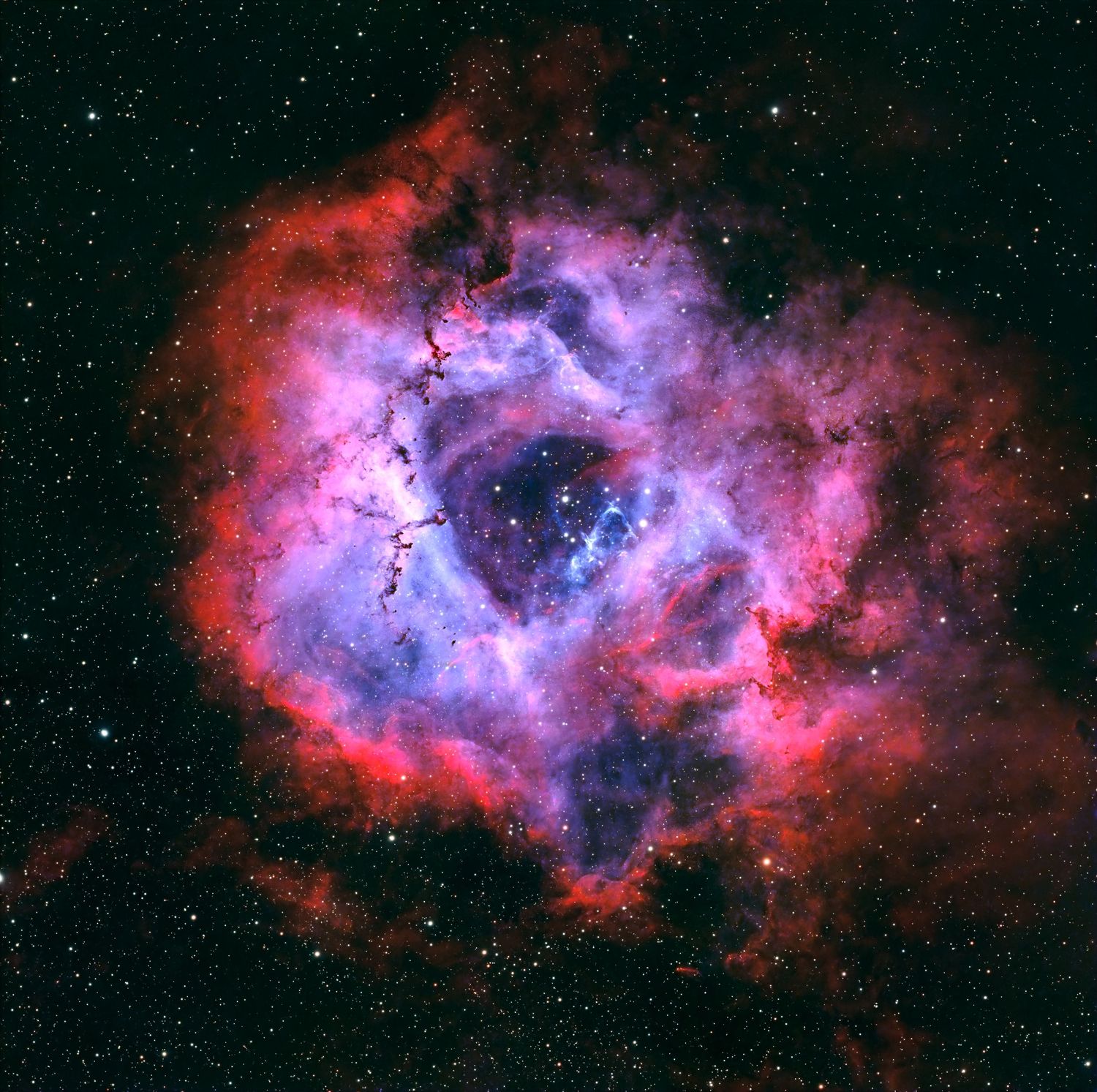 Stunning Rosette Nebula astrophotography showing swirling red and purple cosmic gas clouds surrounding a star cluster.
