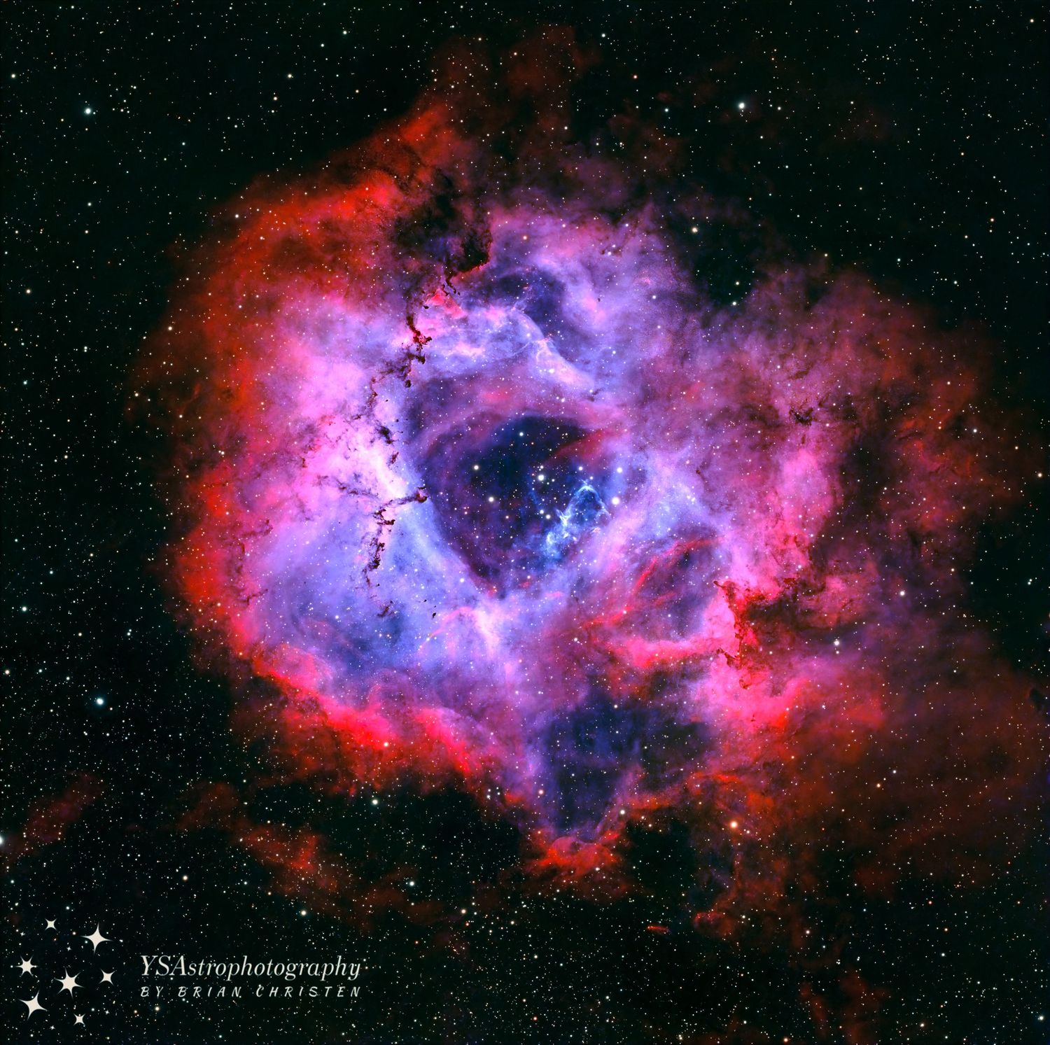 C49 - The Rosette Nebula