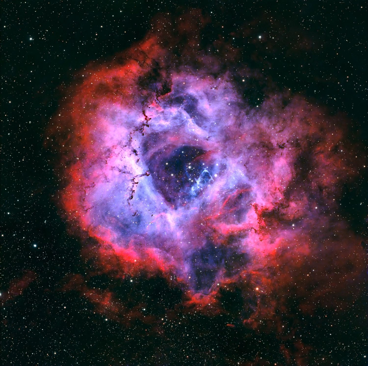 Stunning Rosette Nebula in deep space, showcasing swirling red and purple cosmic gas clouds with bright star cluster at center.
