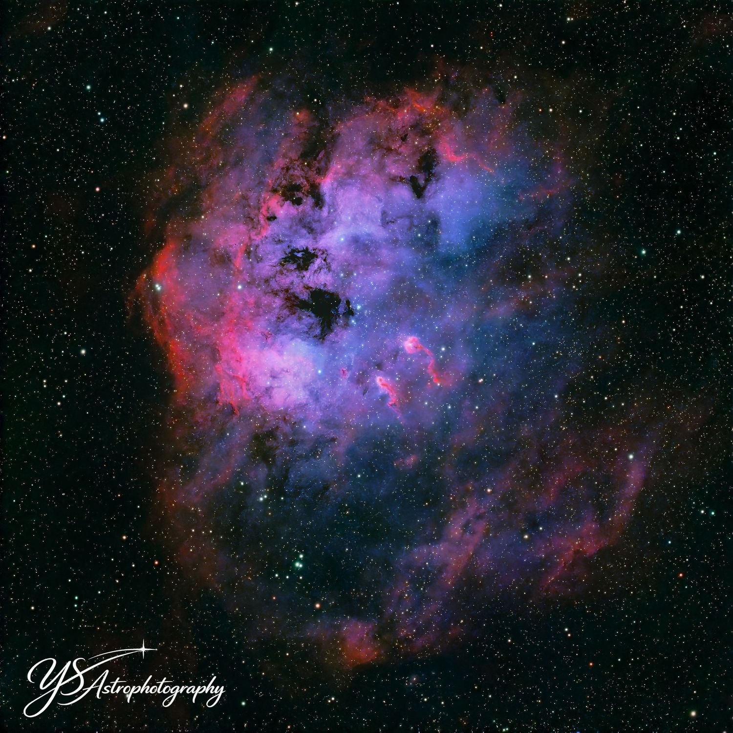 Colorful emission nebula captured in deep space astrophotography showing vibrant blue and red cosmic gas clouds.