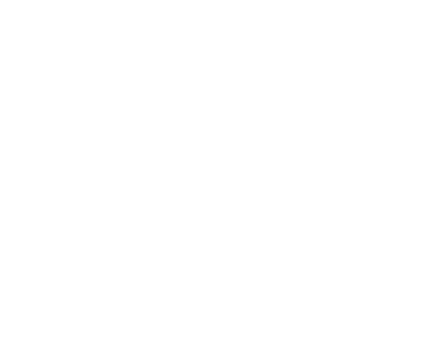 Chasing Shadow Photography signature logo.