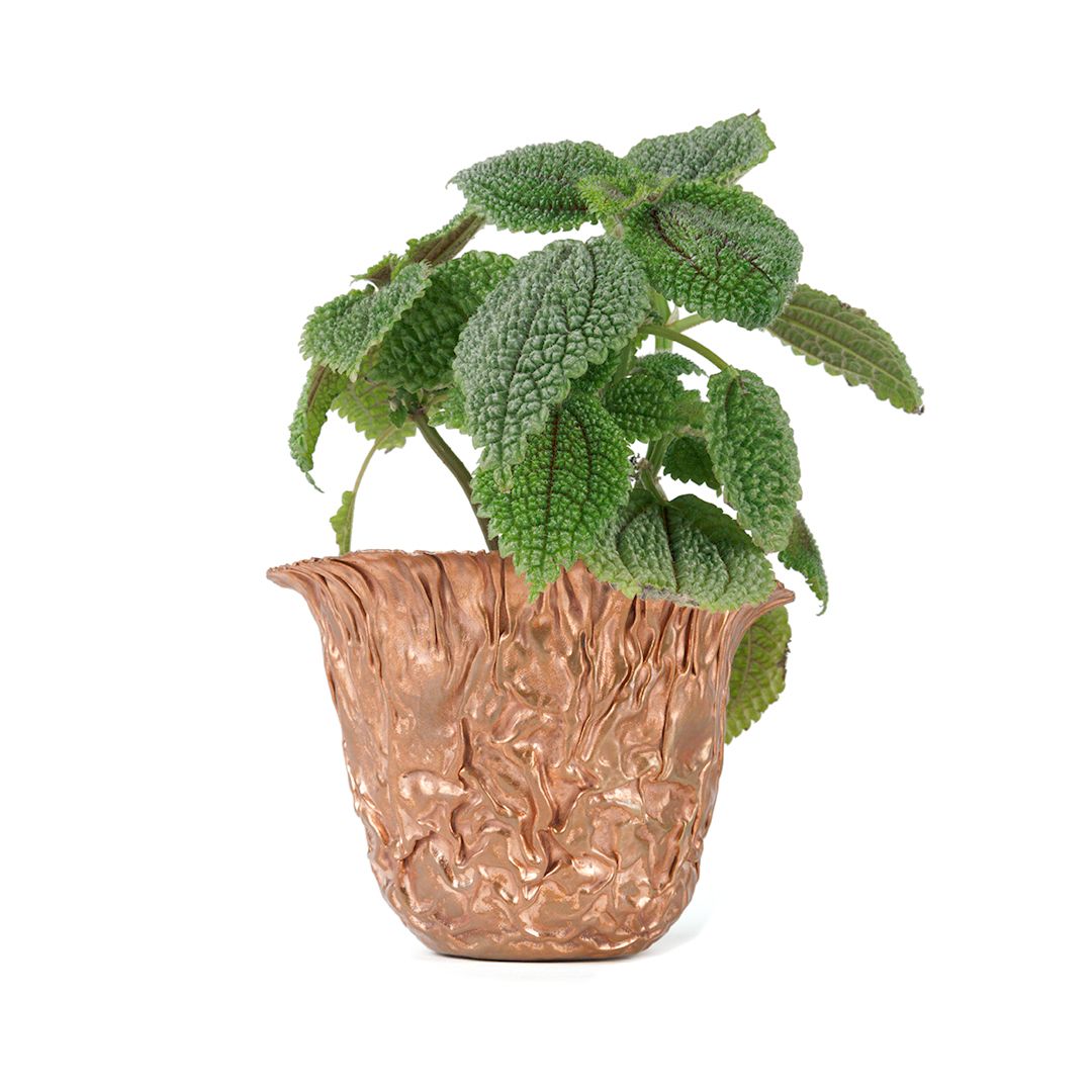 A hand formed copper plant pot, containing a plant. A rough and bumpy surface texture.