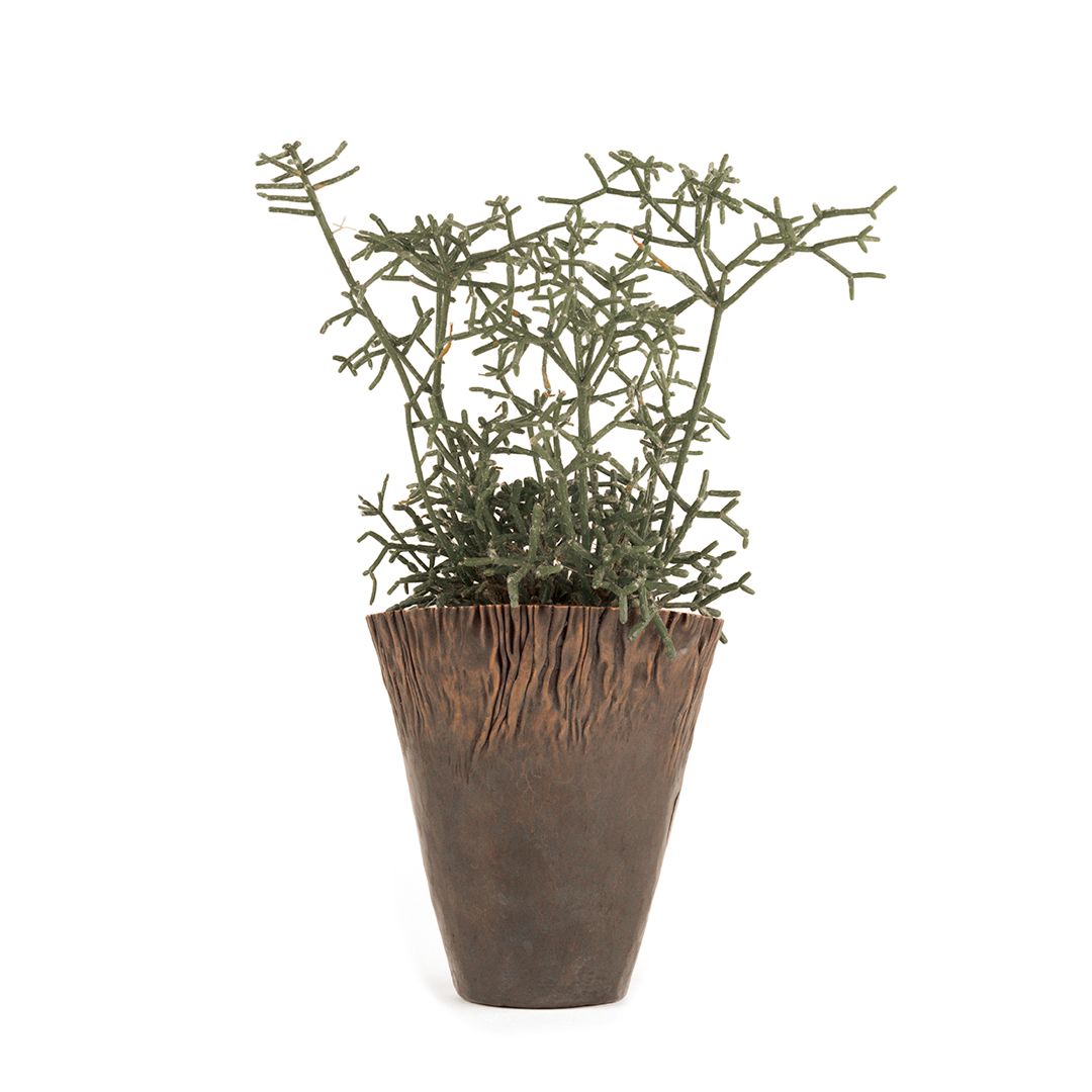 A hand formed copper plant pot, containing a plant. A smooth base leading upwards to a wrinkle texture around the lip.