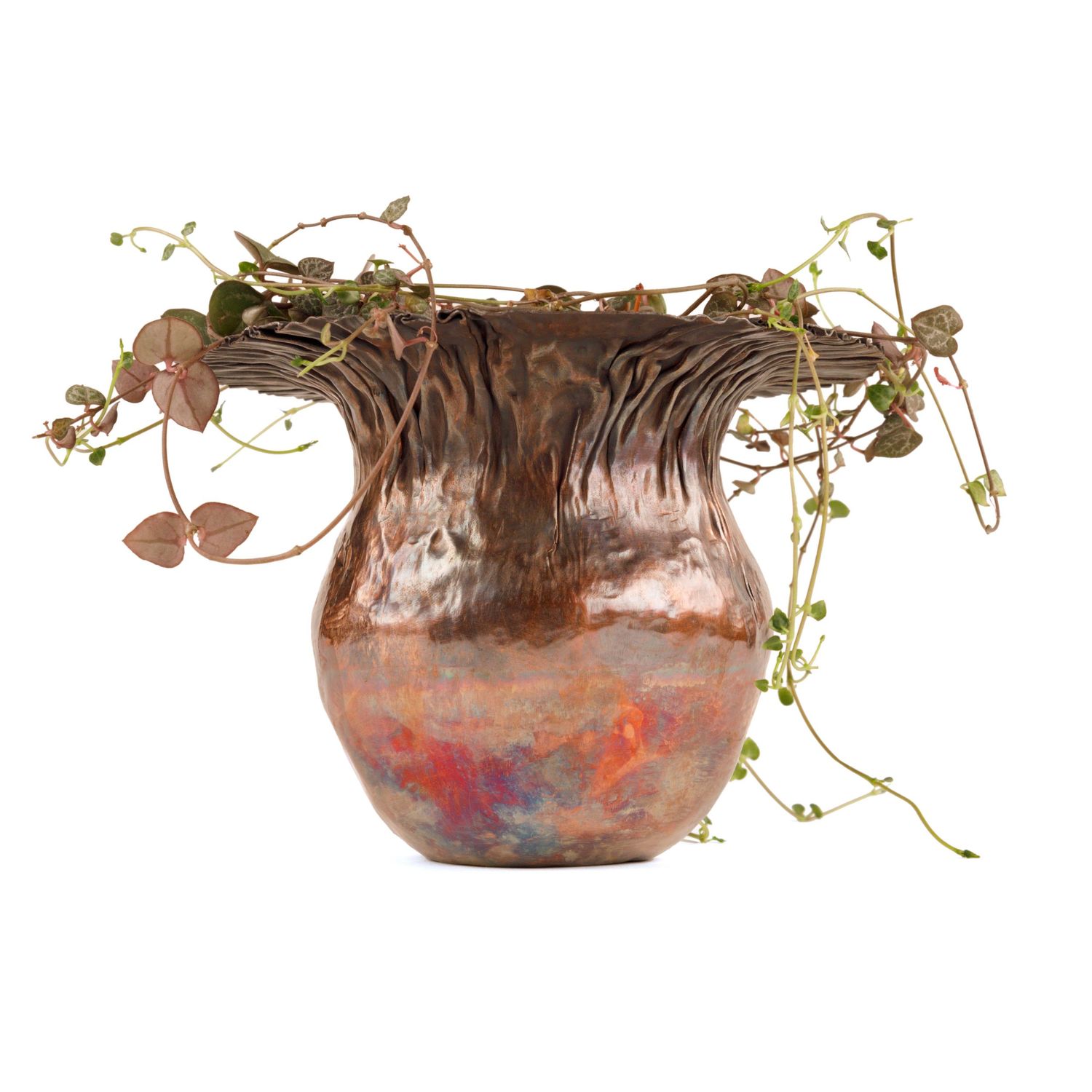 A hand formed copper plant pot, containing a plant. A bulbous shape with an overhanging lip of wrinkle texture.