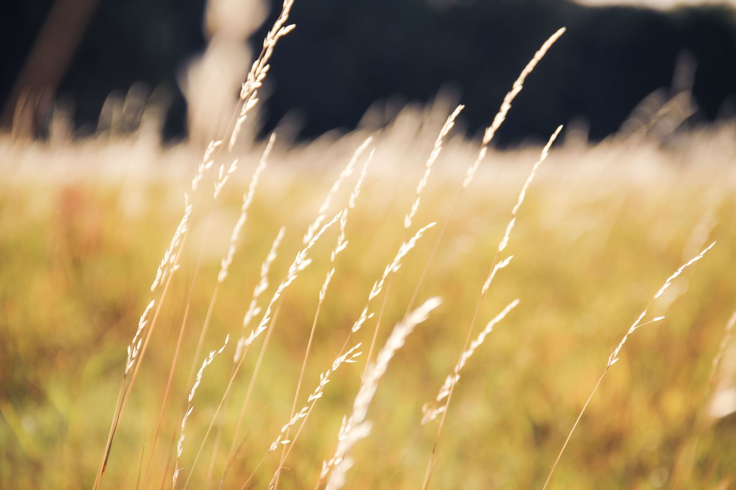 Photographie de paysage et nature, l'inspiration de Christina P. Photography en Brabant wallon