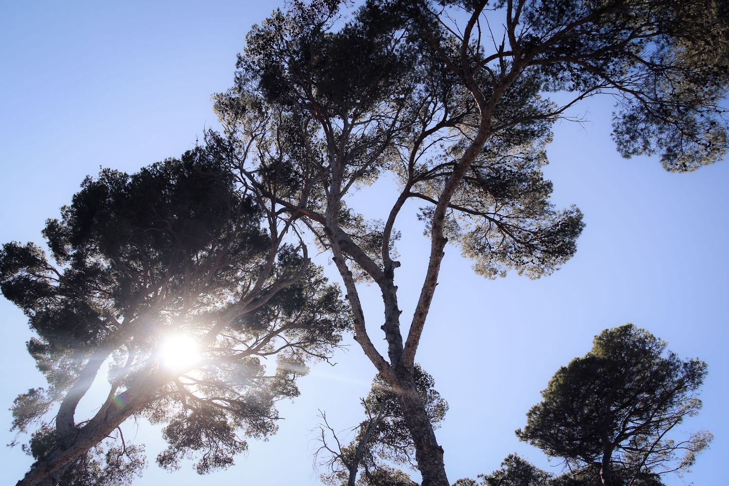 Photographie de paysage et nature, l'inspiration de Christina P. Photography en Brabant wallon