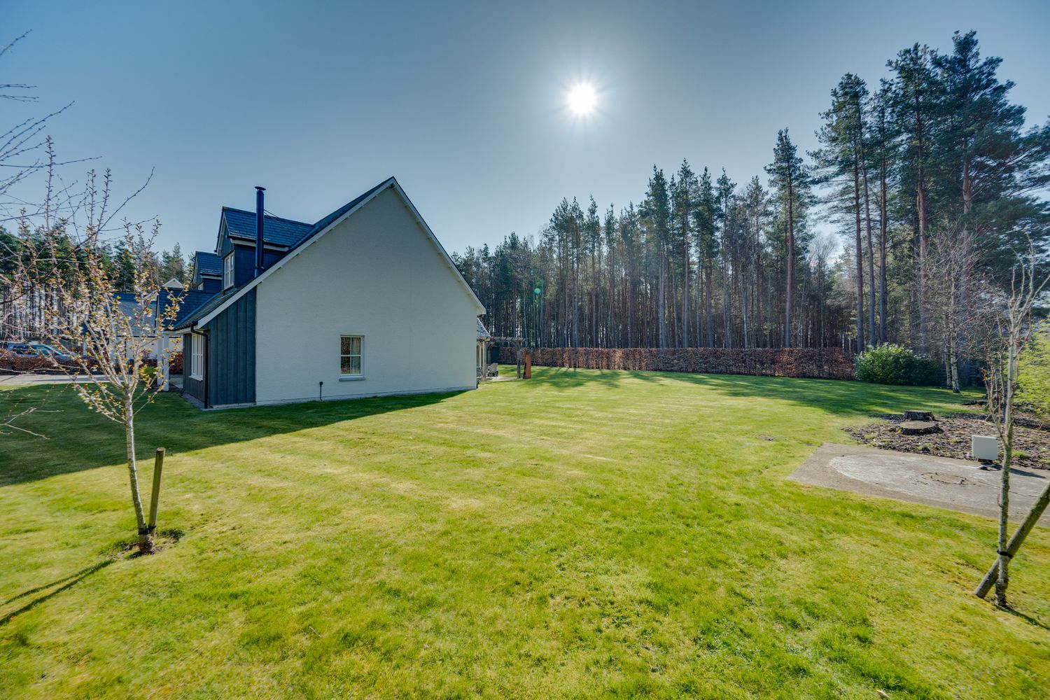 A white modern farmhouse with a large green lawn and tall pine trees in the background on a sunny day.