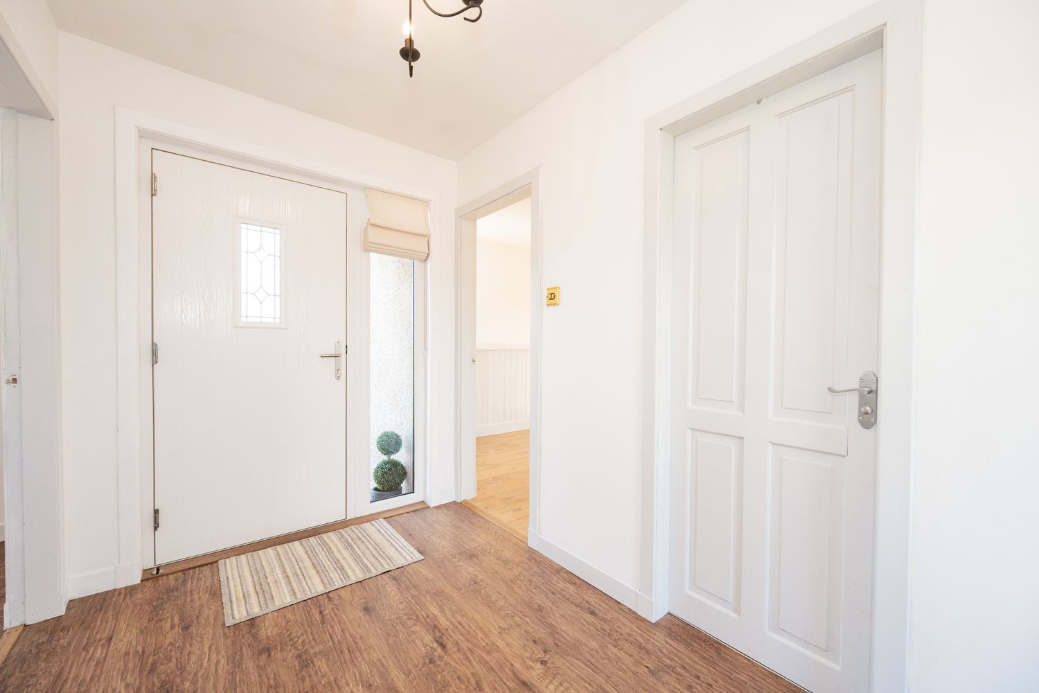 Bright entryway with hardwood flooring, white walls, and two matching white doors featuring a small striped entry rug.