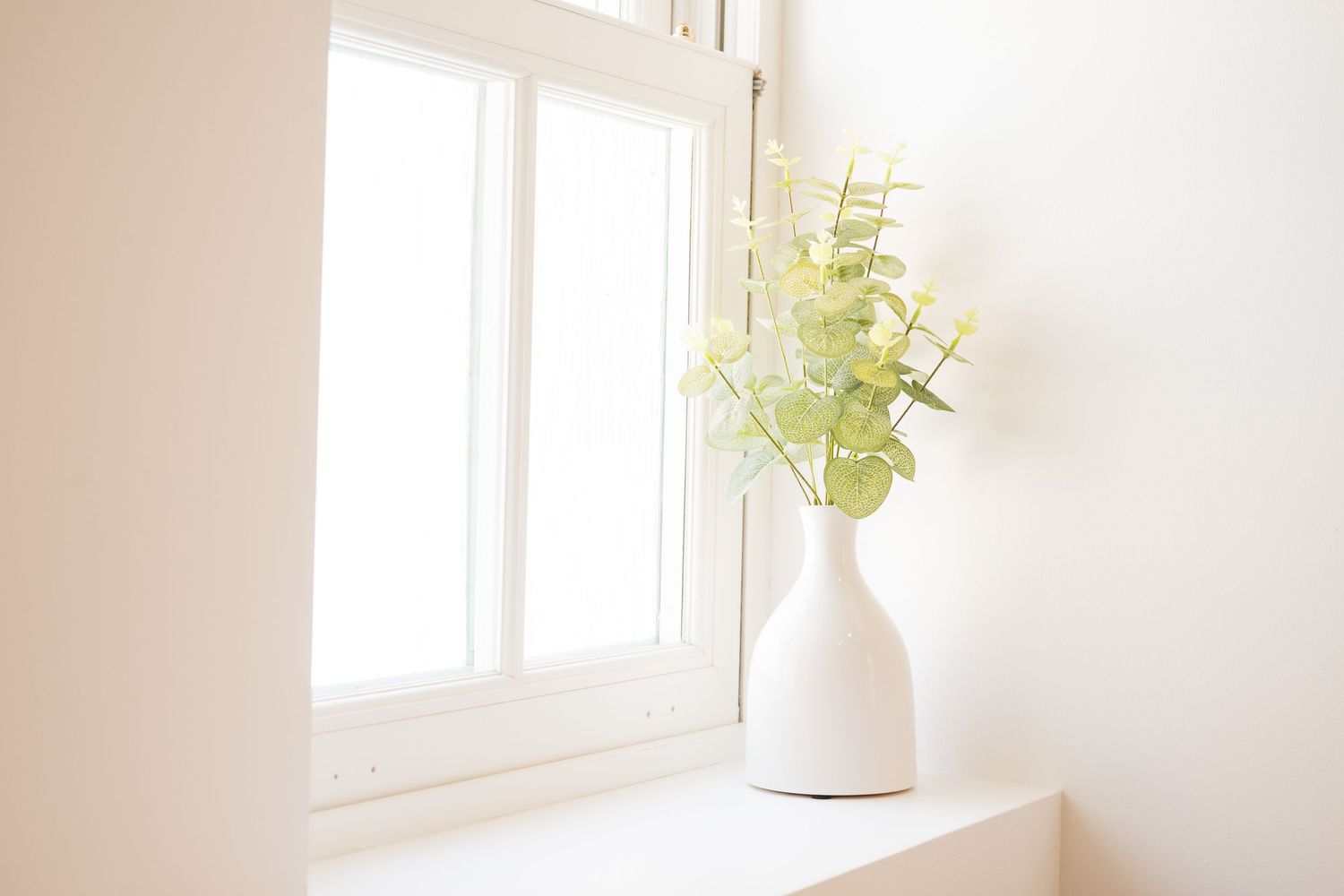 White ceramic vase with fresh green eucalyptus leaves sits on windowsill in soft natural light.