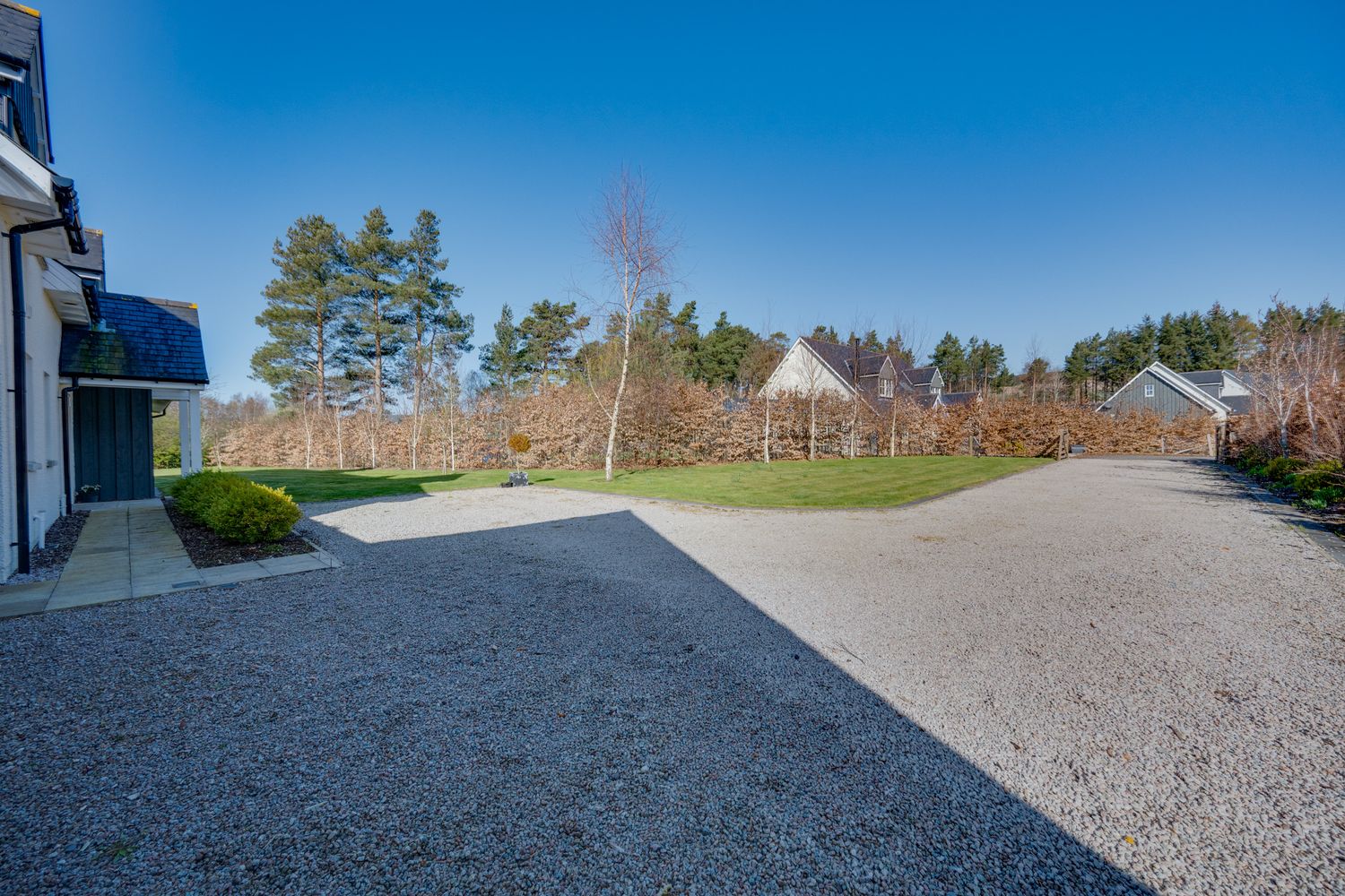 Large gravel driveway and landscaped yard with pine trees and blue sky in rural setting.