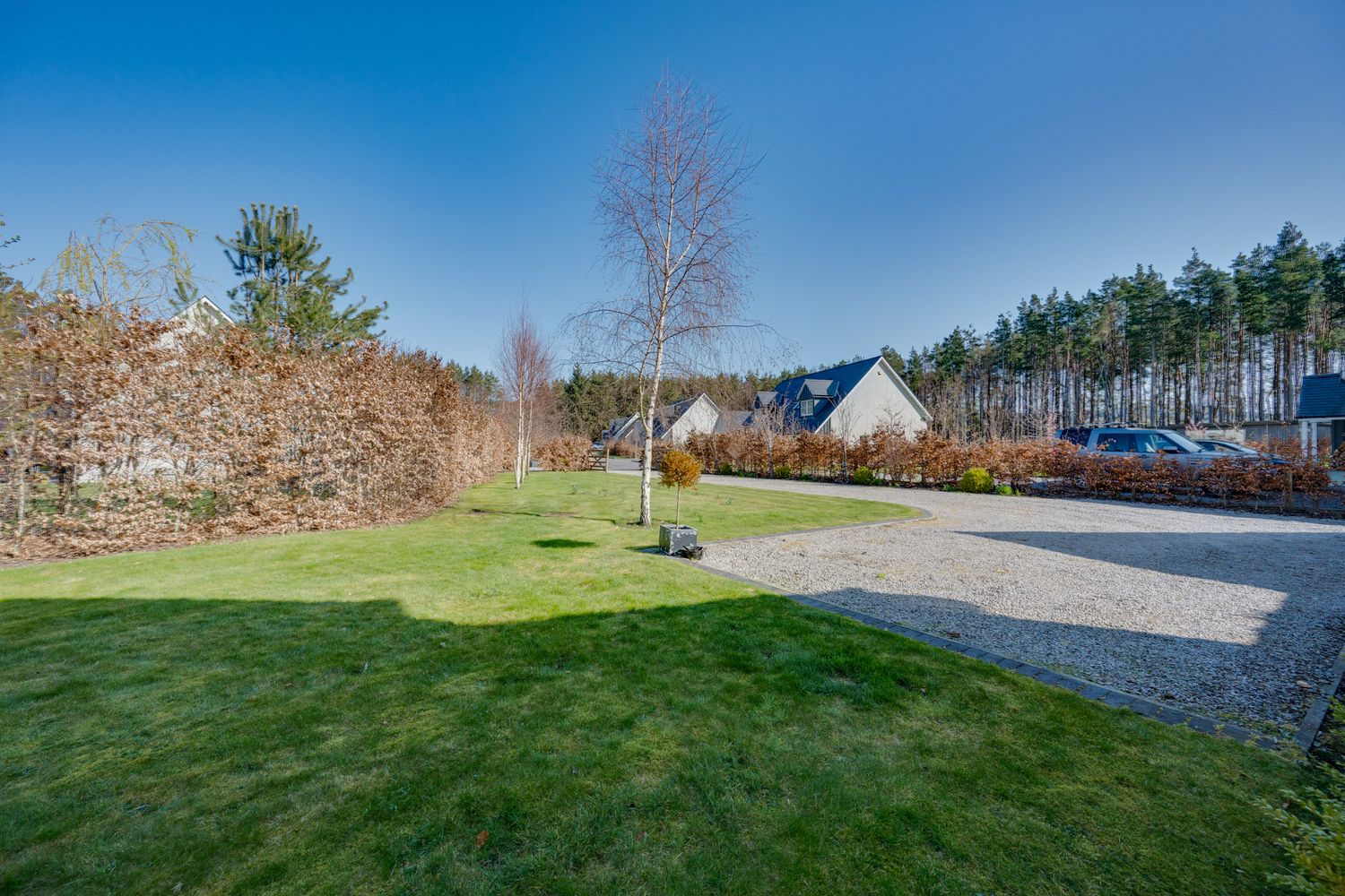 Well-maintained lawn with gravel driveway and trees surrounding a residential property on a sunny day.