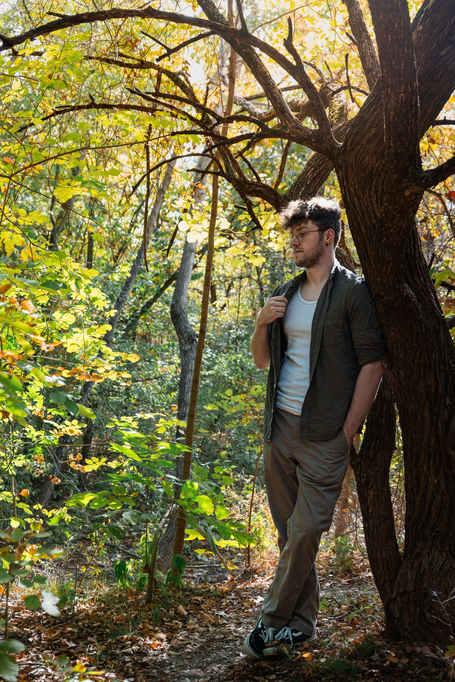 Young man leaning against a tree in an autumn forest with golden foliage.