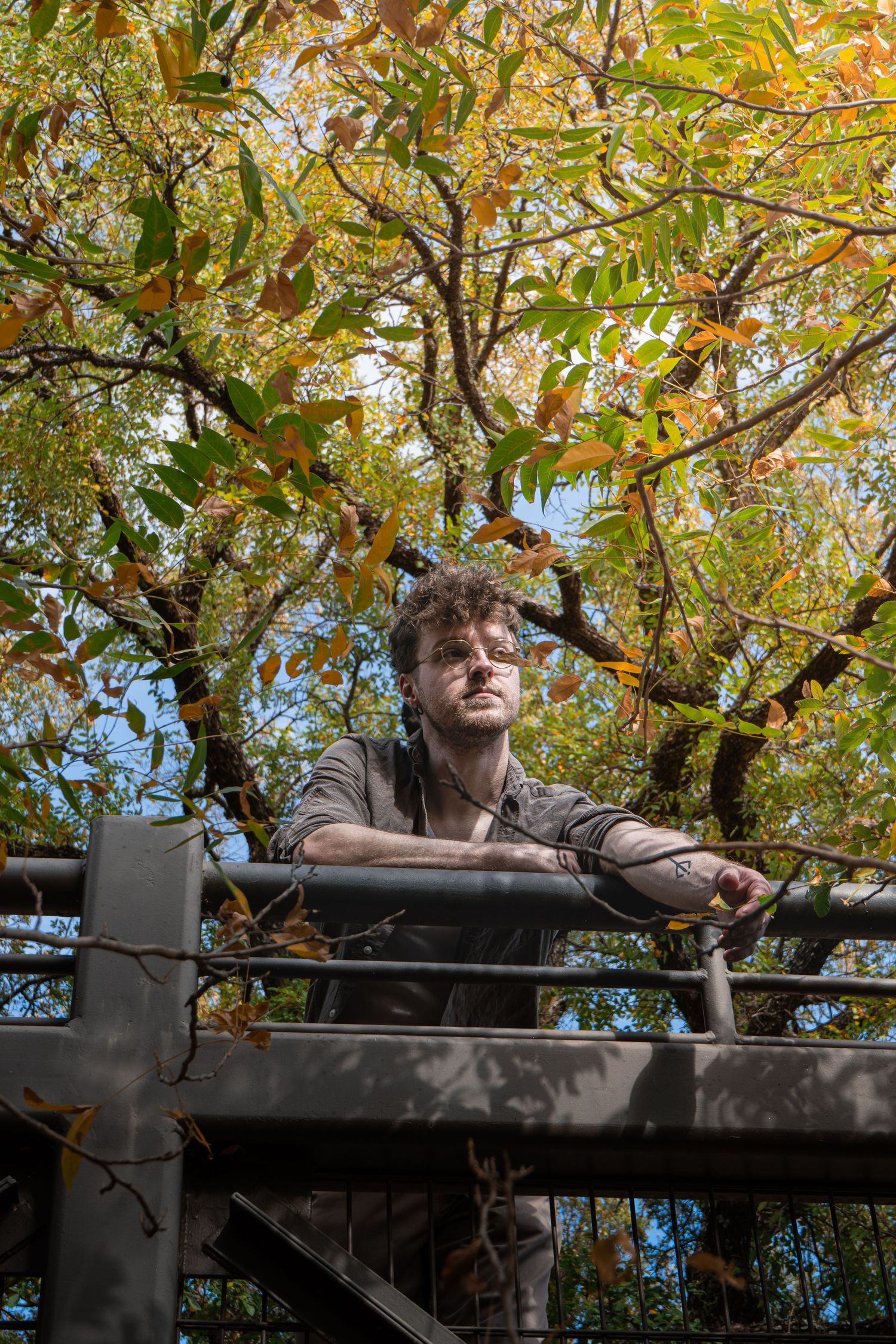Man leaning on metal railing surrounded by colorful autumn trees with yellow and green foliage on a sunny day.
