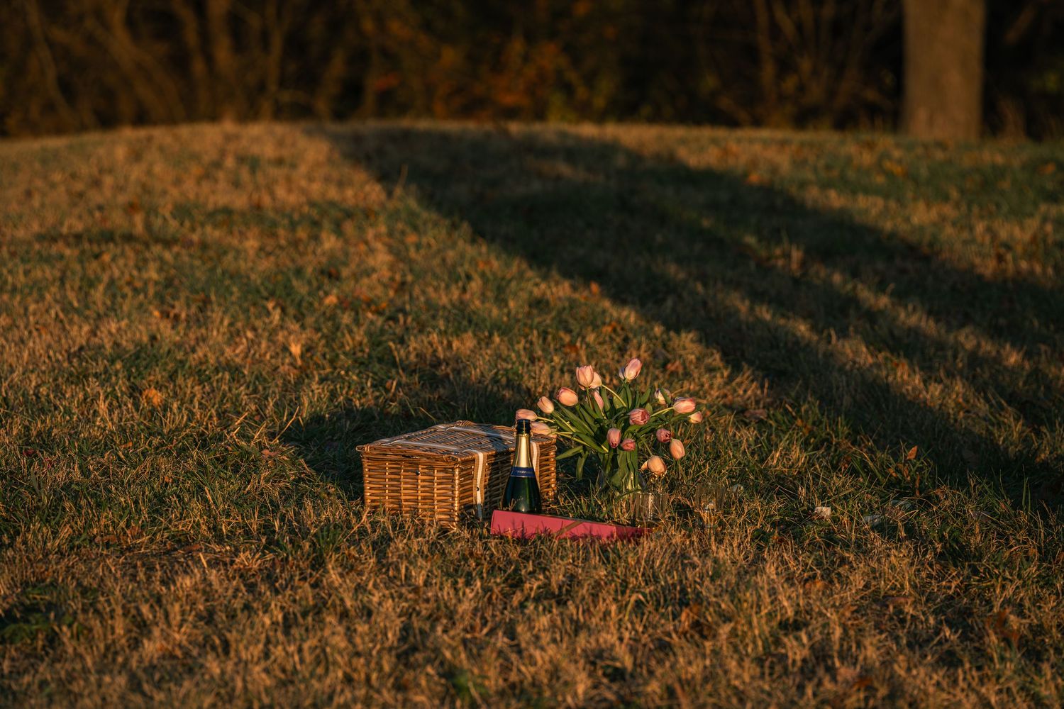 Wicker picnic basket with pink tulips and wine bottle on grass at sunset.