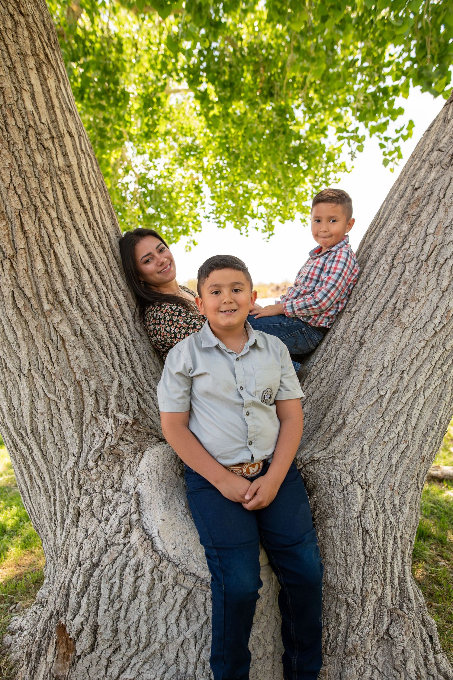 A mother and two boys pose playfully among the large trunks of a shady tree in a park.