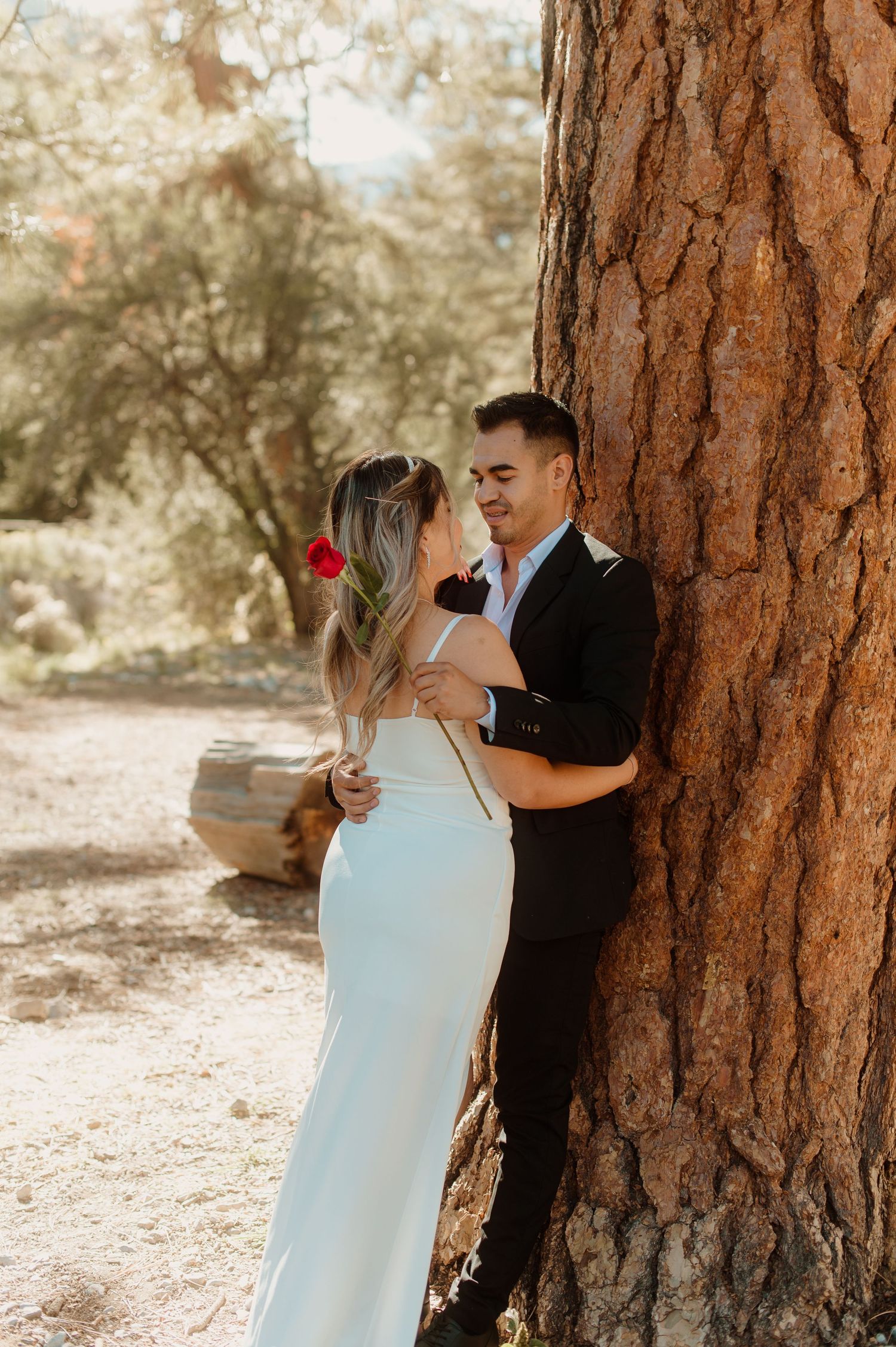 Couple embraces romantically beside a large pine tree, woman holding a single red rose.