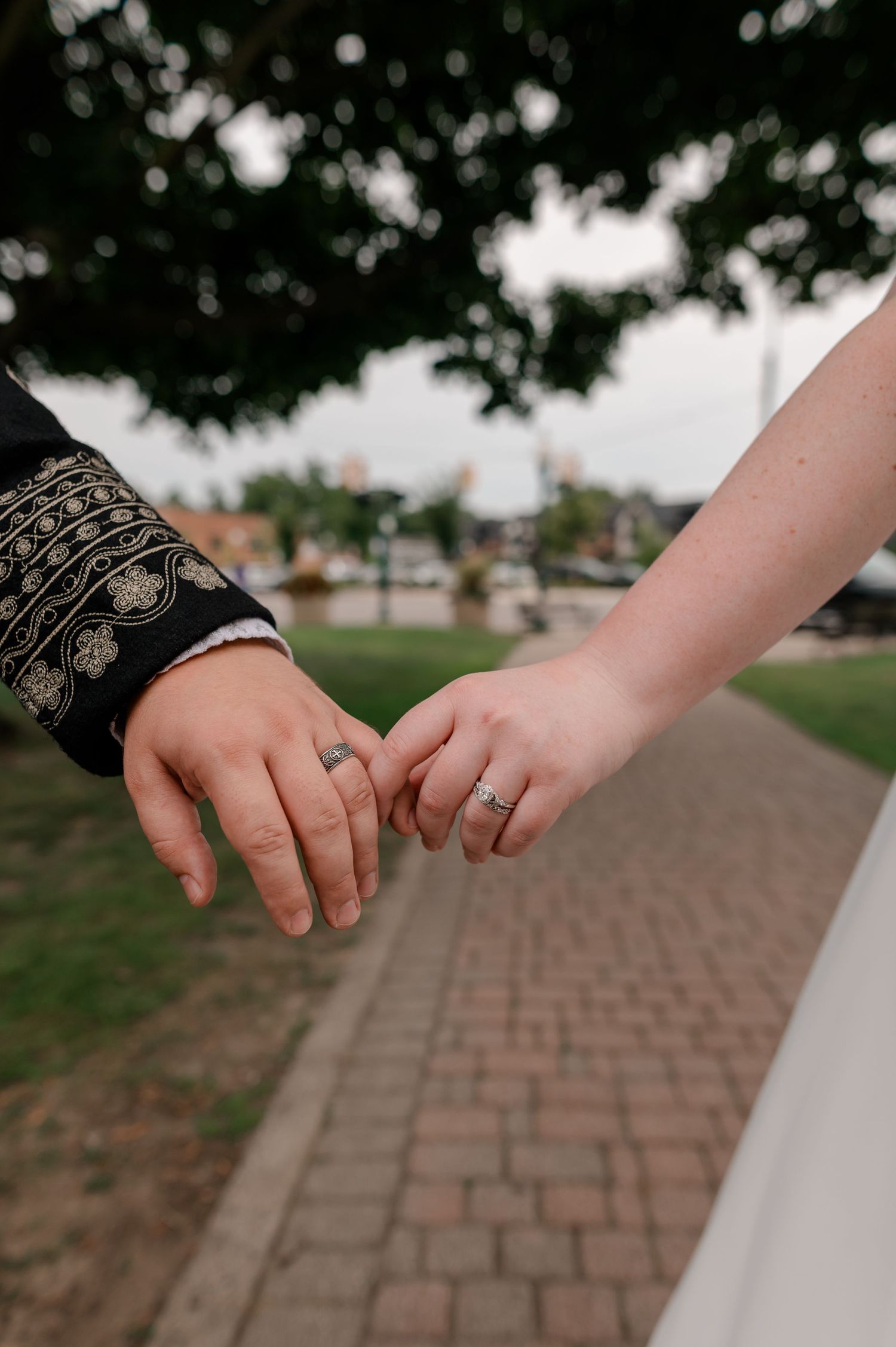 Close-up of a bride and groom holding hands, both wearing wedding rings, with a scenic park background.