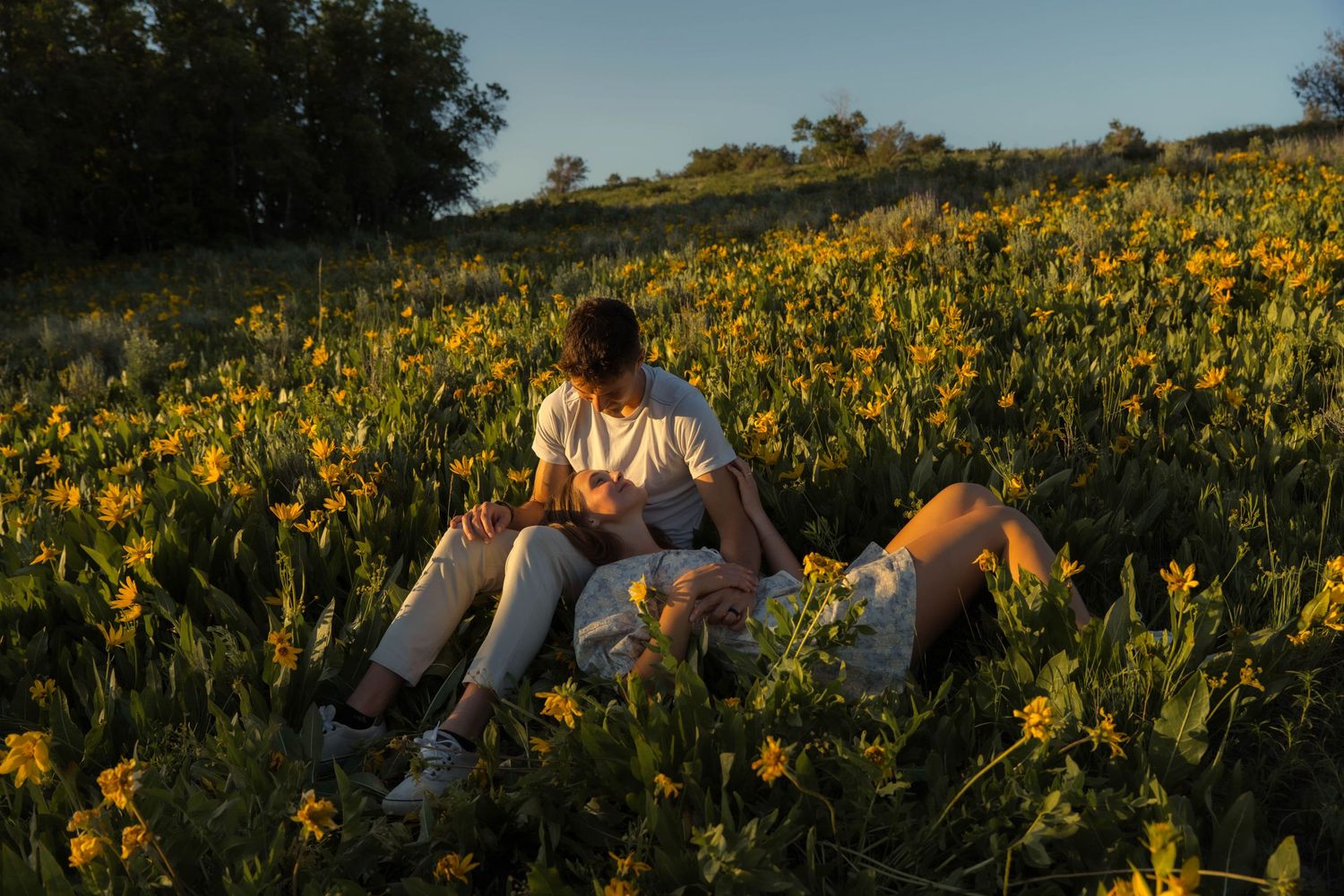 A couple relaxes in a field of vibrant yellow wildflowers during golden hour.