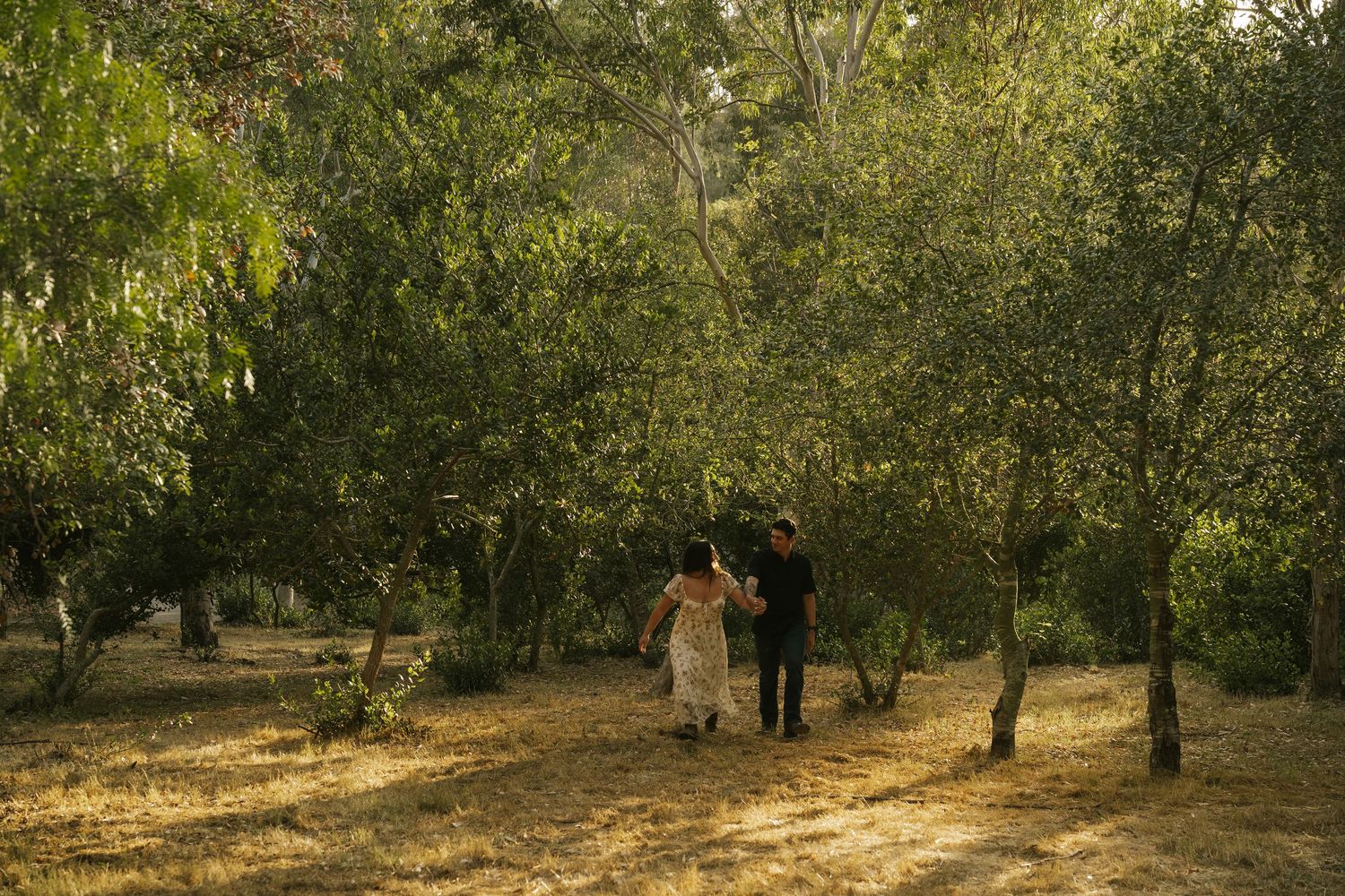 Couple dancing together in a sunlit orchard surrounded by lush green trees on dry golden ground.