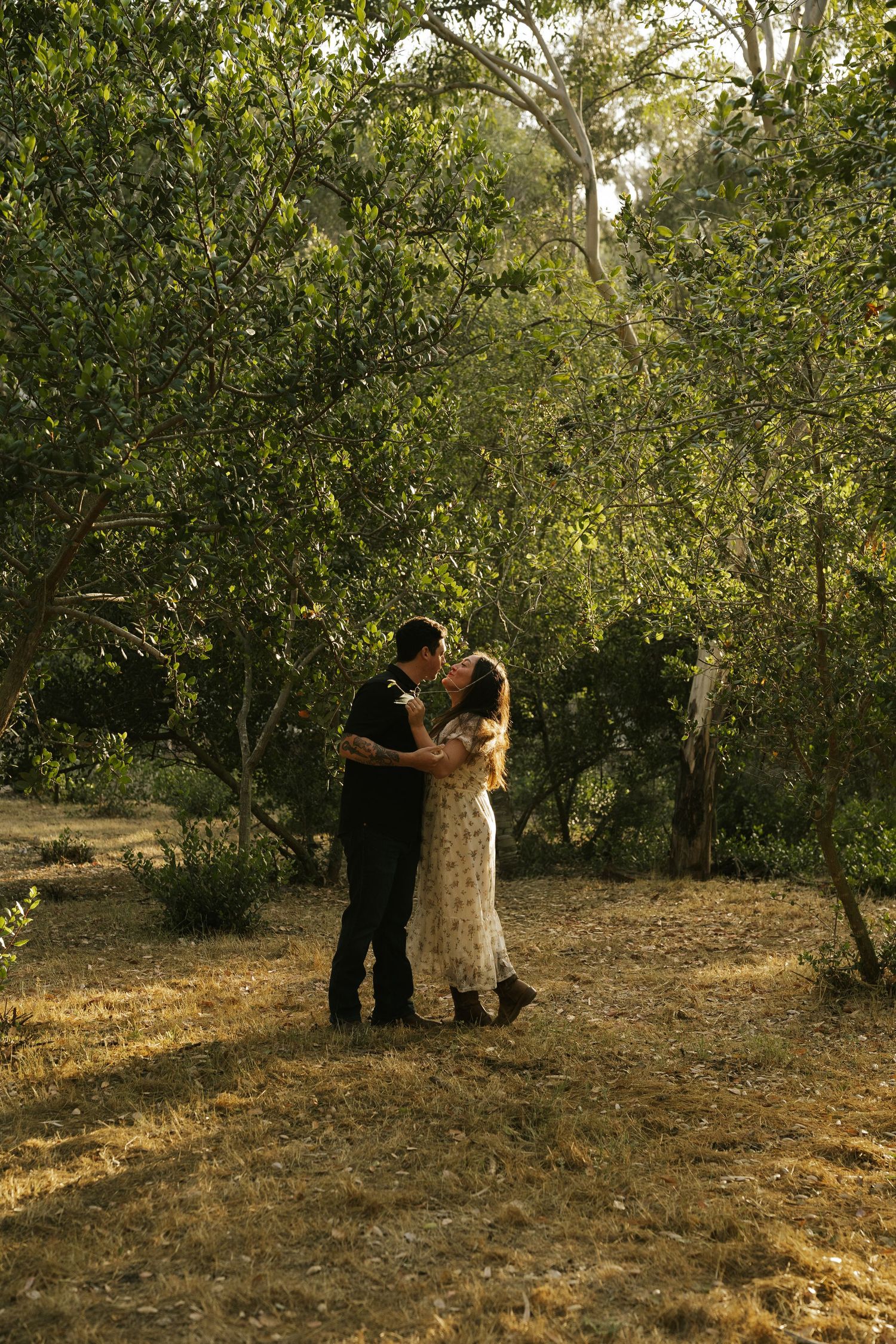 Couple sharing a romantic kiss surrounded by lush green trees in a sunlit forest clearing.