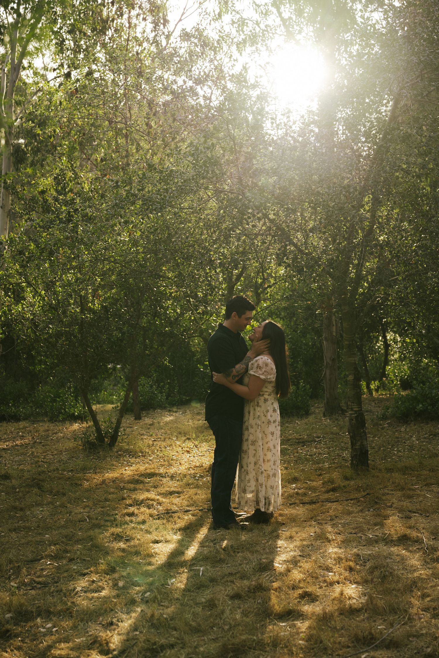 A romantic couple embraces in a sun-drenched forest clearing, backlit by golden sunlight streaming through trees.