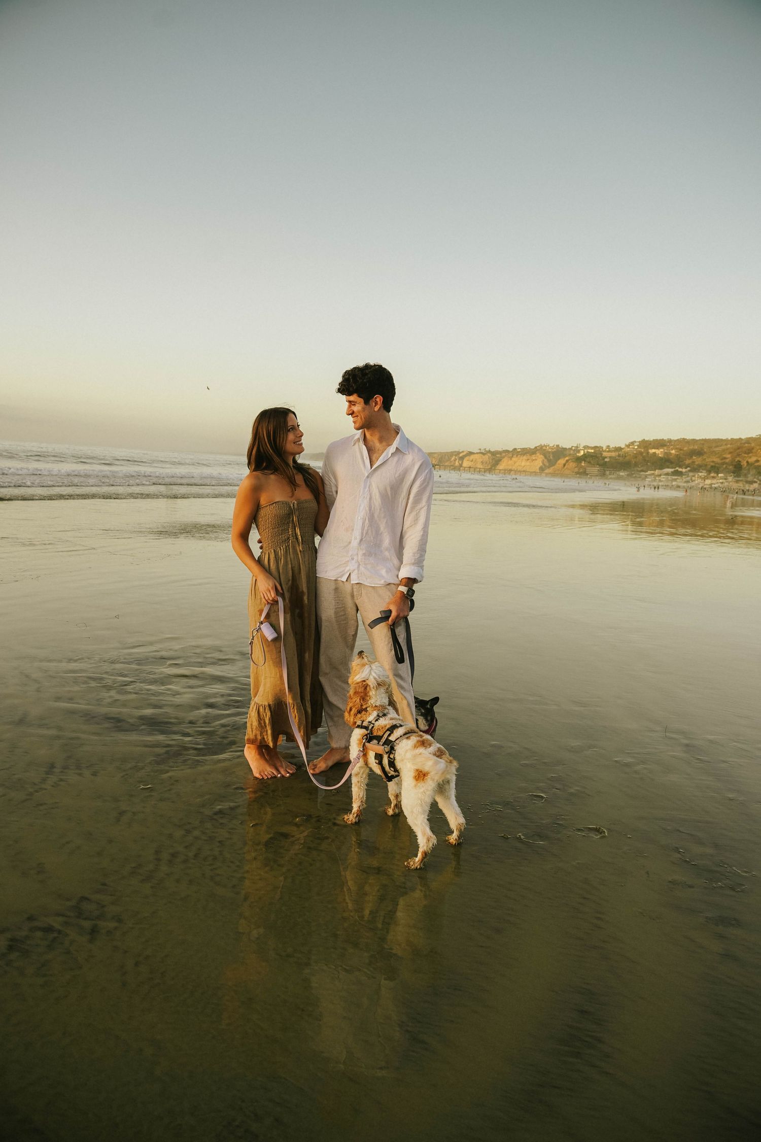 Couple walking with dogs on beach at sunset with cliffs in background.