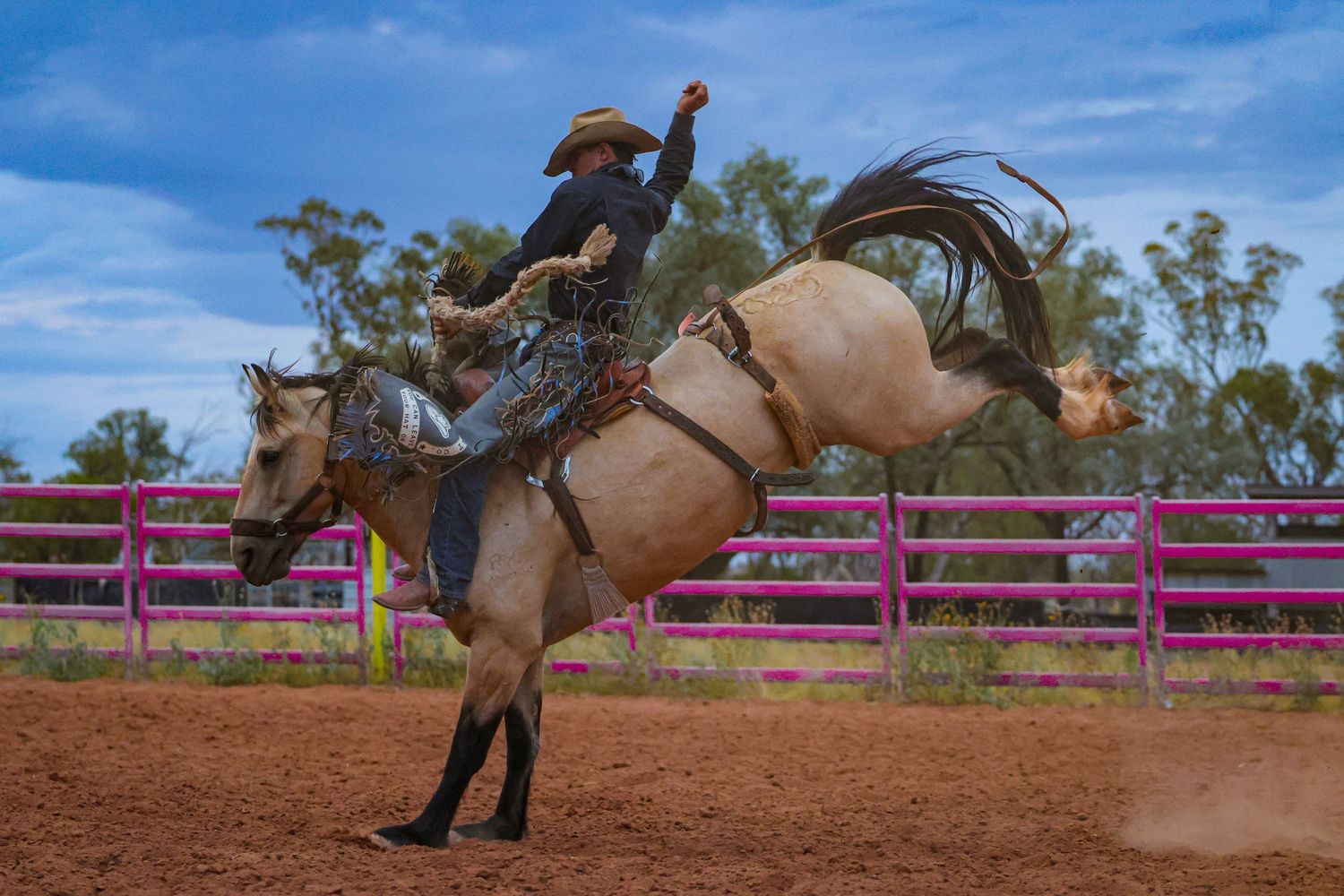 A sequence of rodeo action shots showing a horse and rider performing jumps over pink barriers in an outdoor arena.