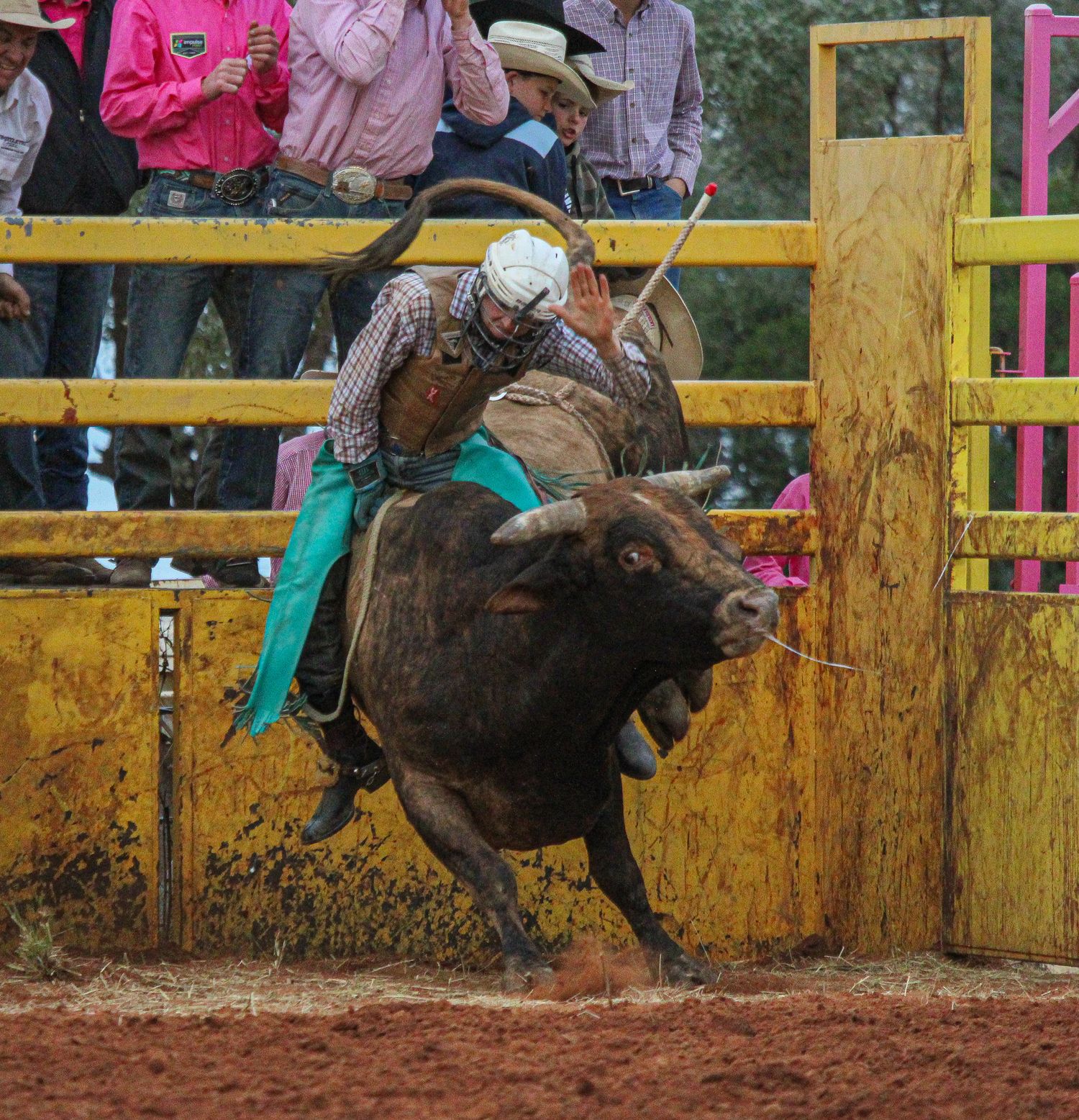 A bull rider in protective gear attempts to stay mounted on a bucking bull during a rodeo competition.