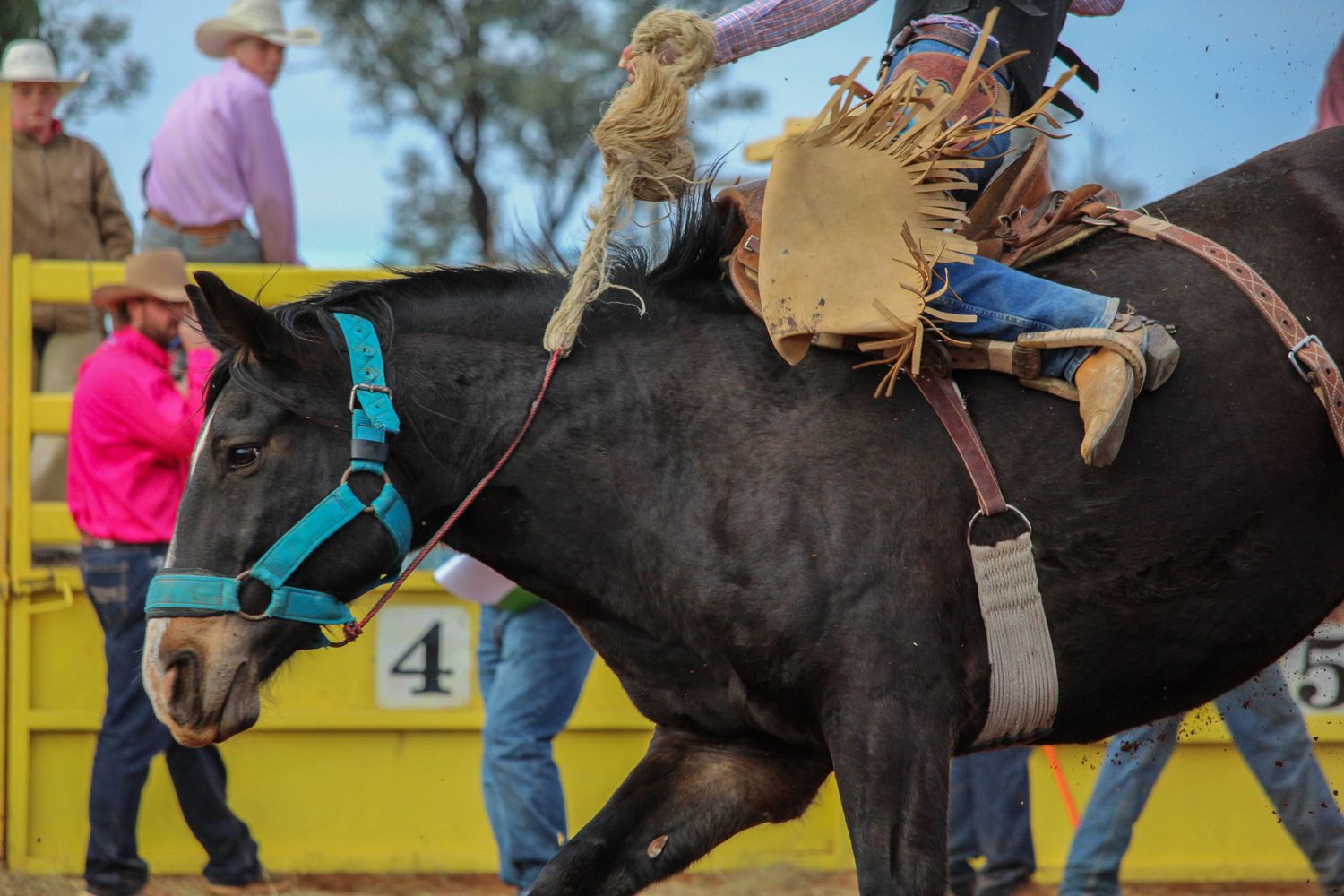 A rodeo rider attempts to stay mounted on a bucking horse during a competitive bronc riding event.