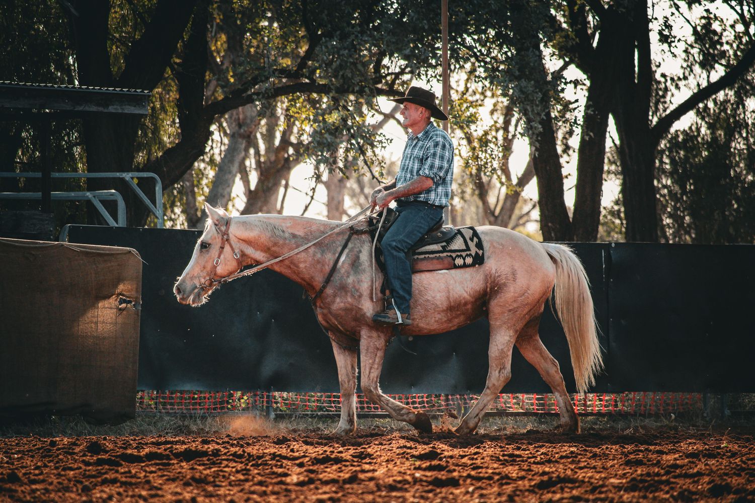 Horse and rider silhouettes practicing barrel racing maneuvers at dusk.
