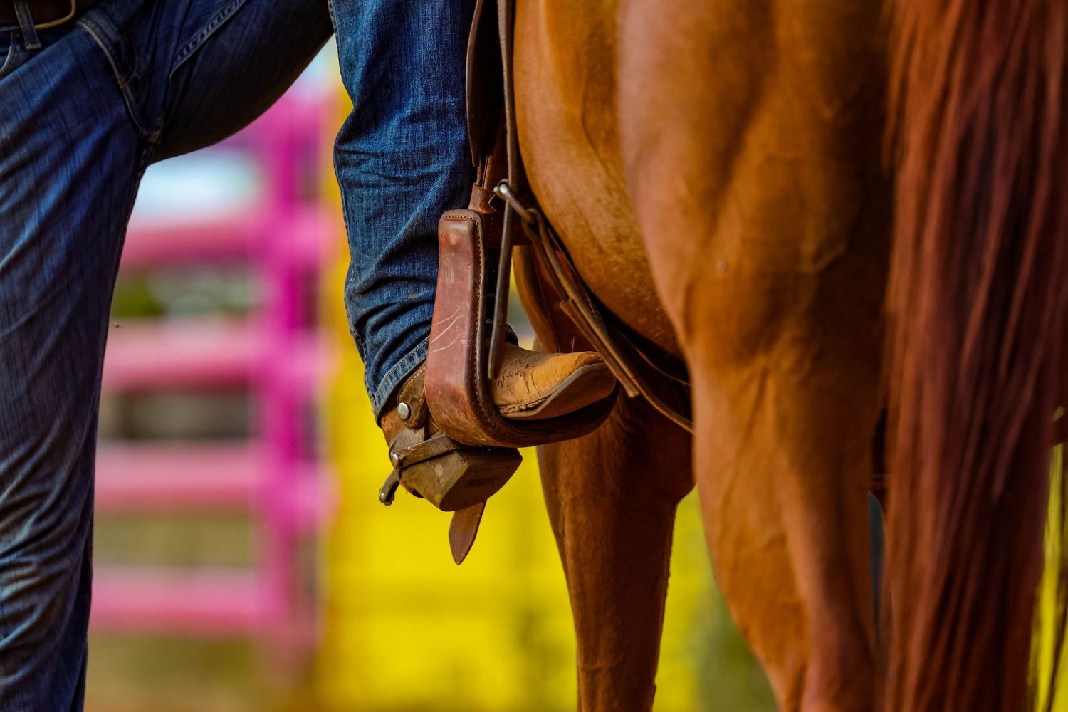 A close-up view of a chestnut horse's legs with protective boots and riding equipment during an equestrian event.