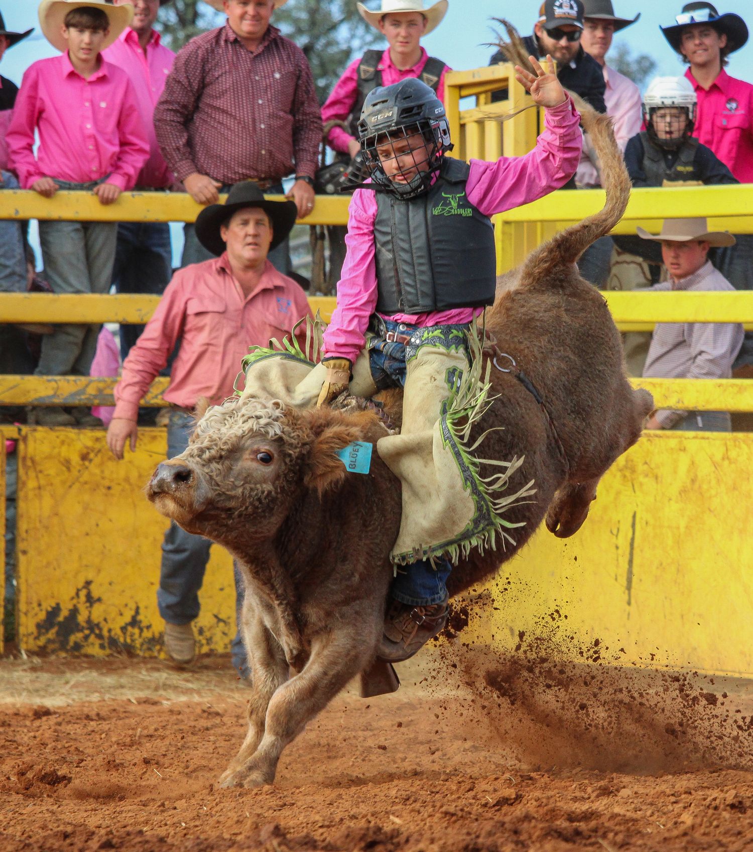 A rodeo participant rides a bucking calf in a dirt arena while spectators watch from behind yellow barriers.
