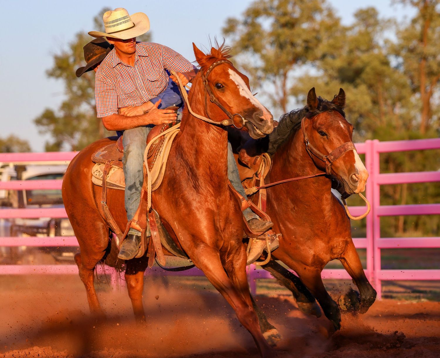 A rider in western attire guides a chestnut horse through a dusty arena with pink metal fencing in the background.