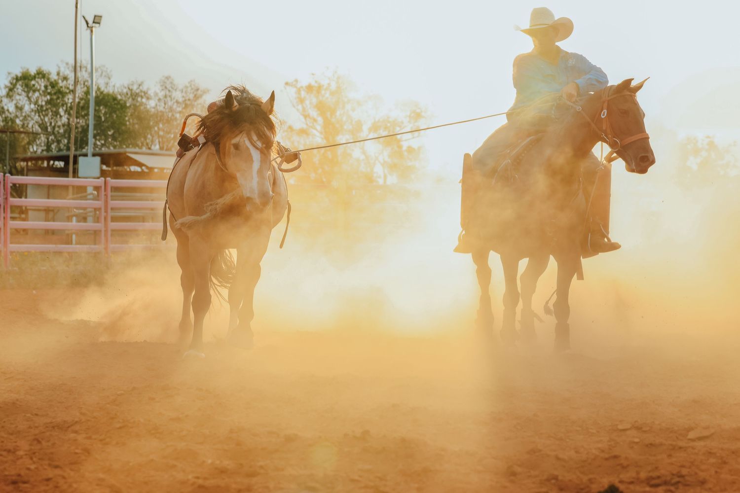 Cowboys ride through dusty arena during sunset rodeo competition with golden light illuminating the scene.
