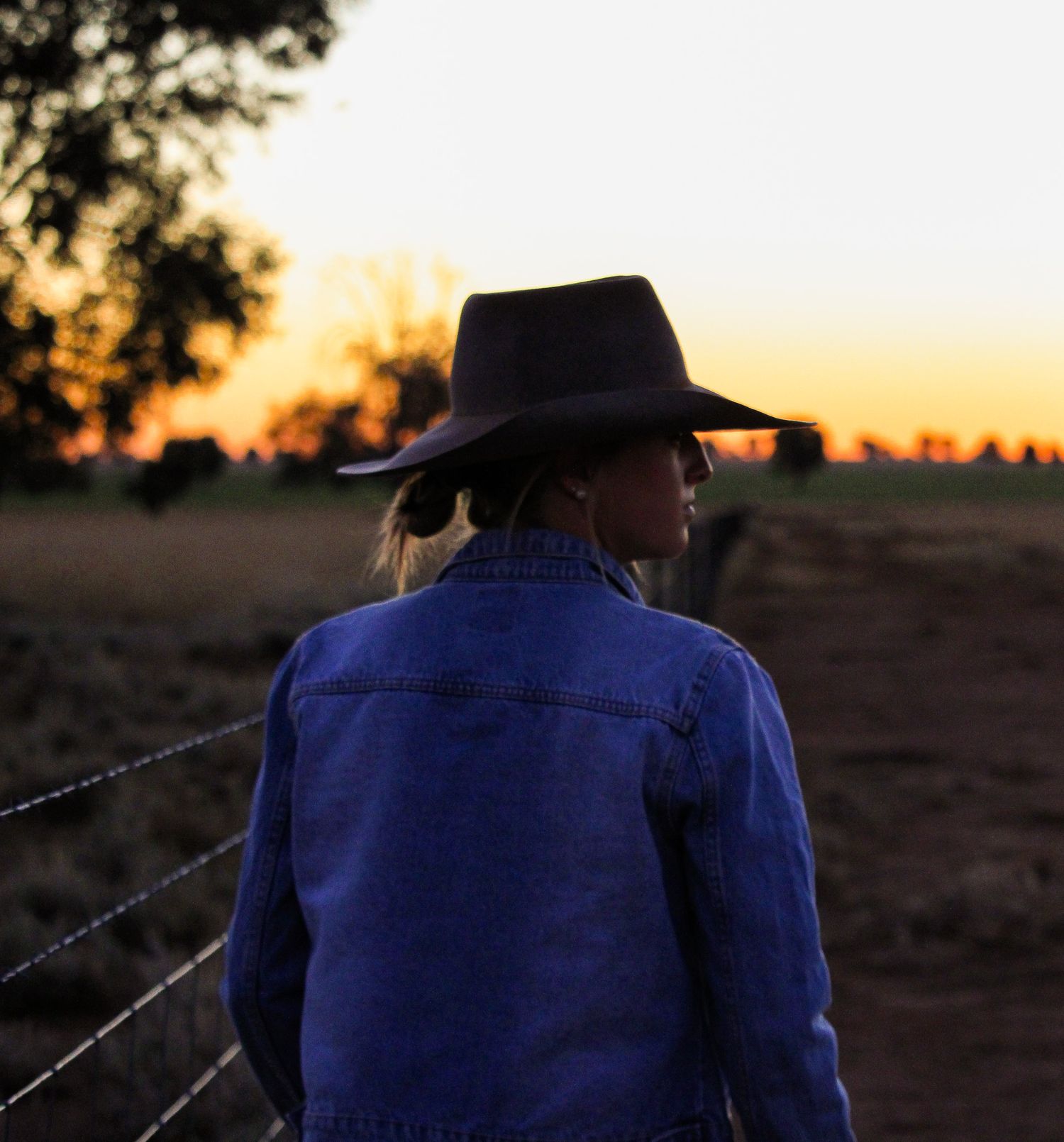 Back view of someone in blue denim jacket watching the sunset in a rural setting.