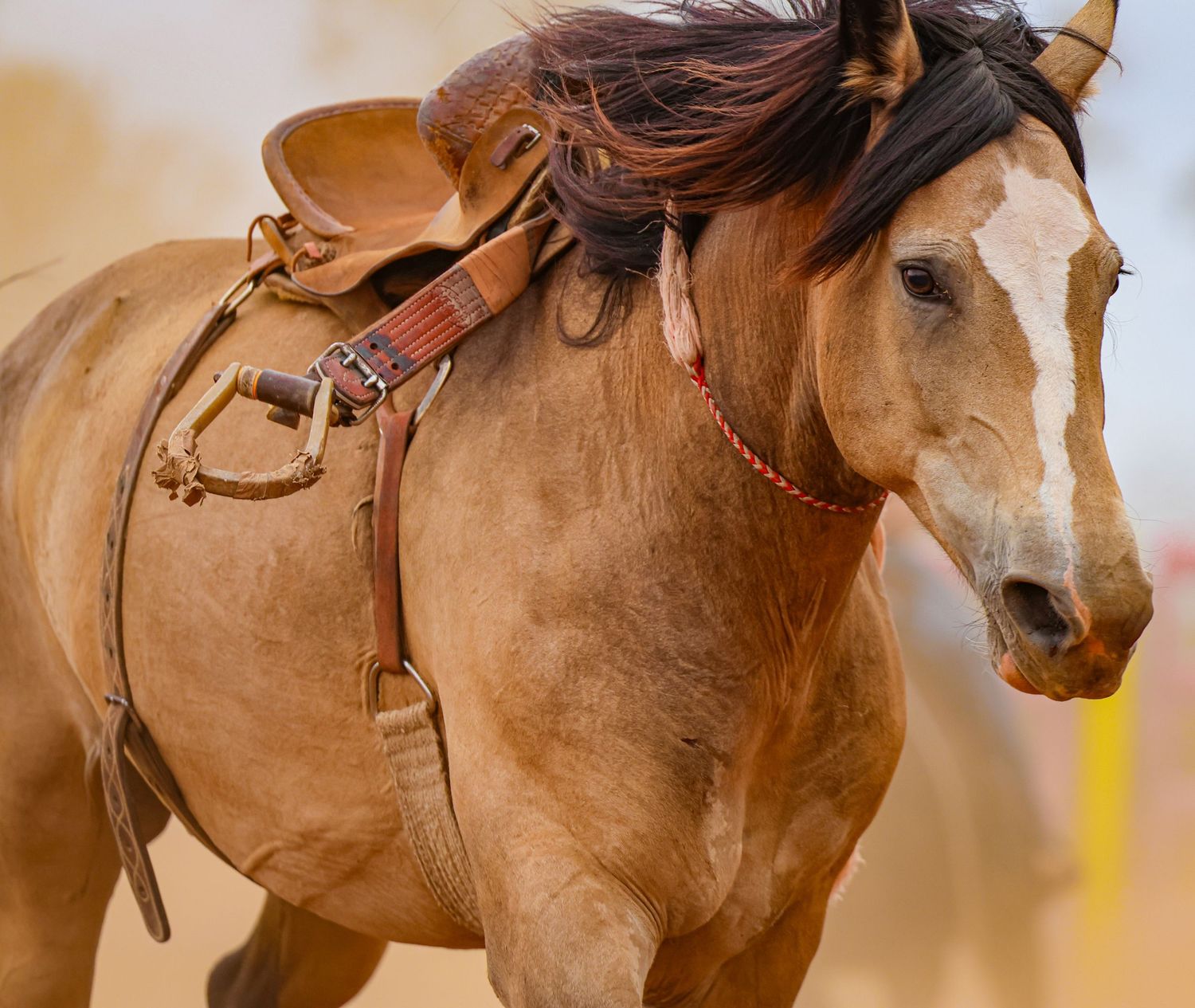 A saddled brown horse with flowing mane stands in profile against a blurred background.