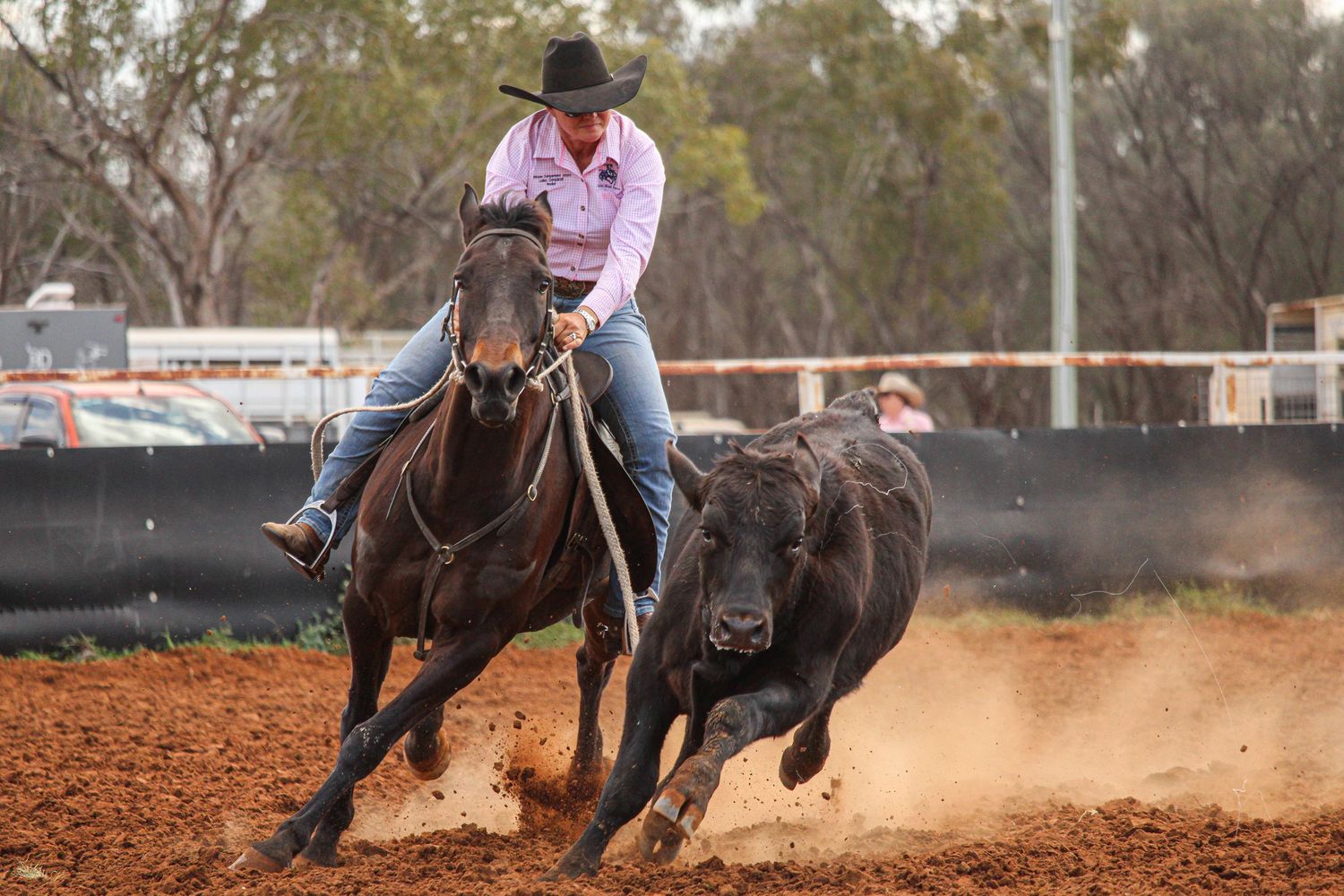 Dynamic shot of rodeo competitors chasing cattle in a dusty arena.