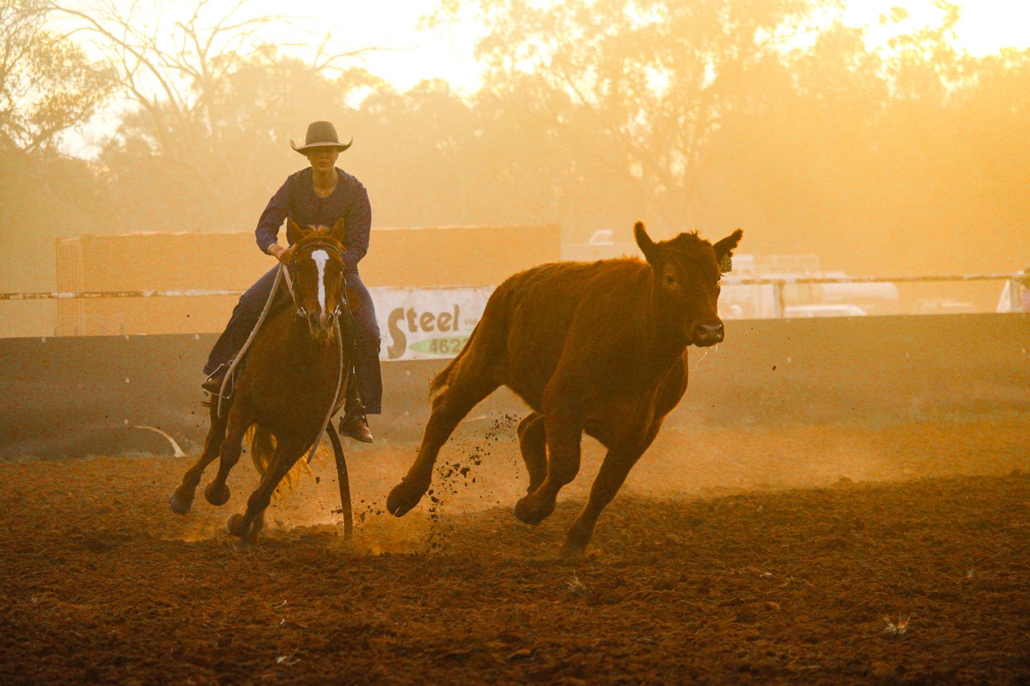 Silhouettes of horse riders working cattle during sunset in a dusty arena.