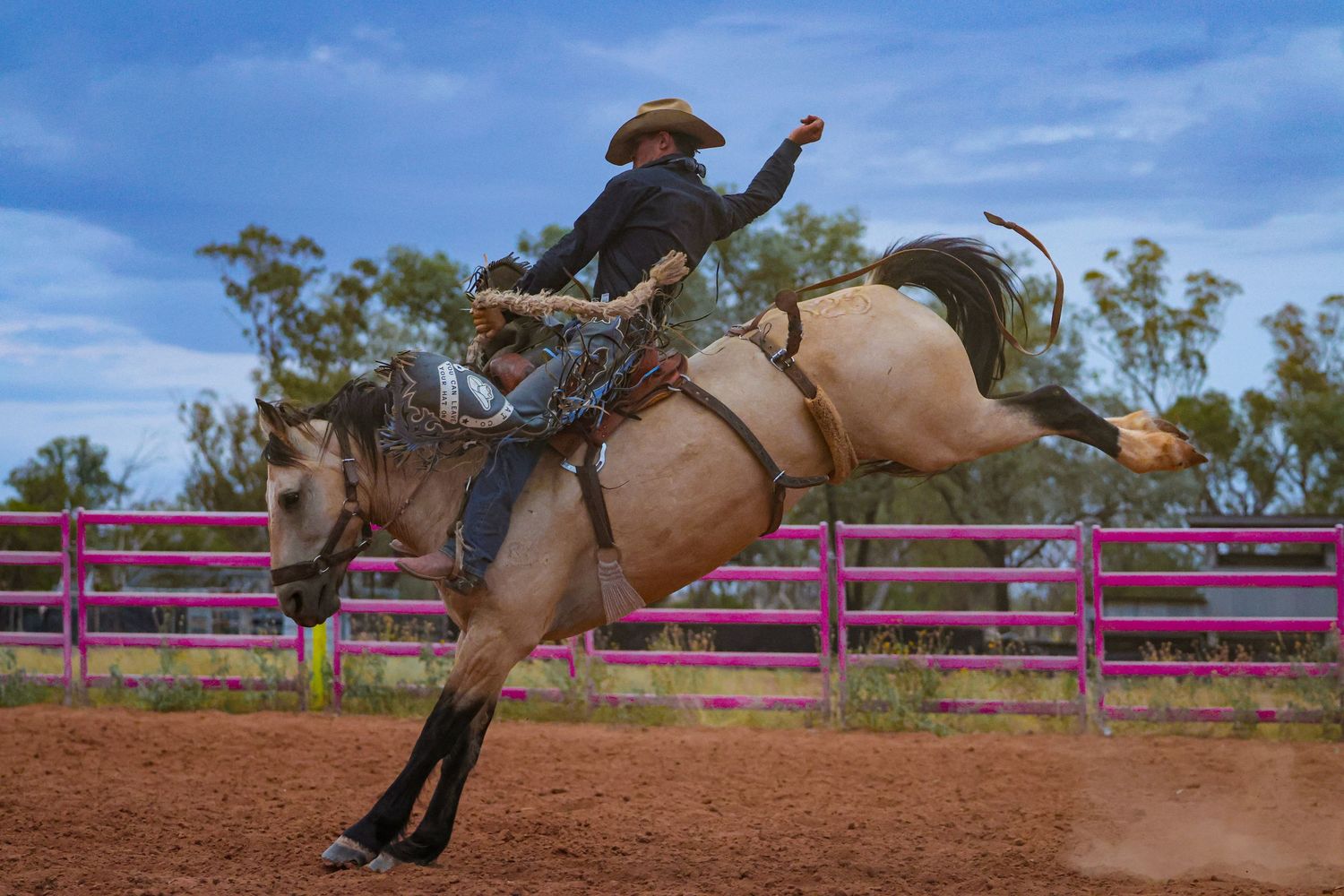 A cowboy rides a bucking horse during a rodeo competition against a bright blue sky.