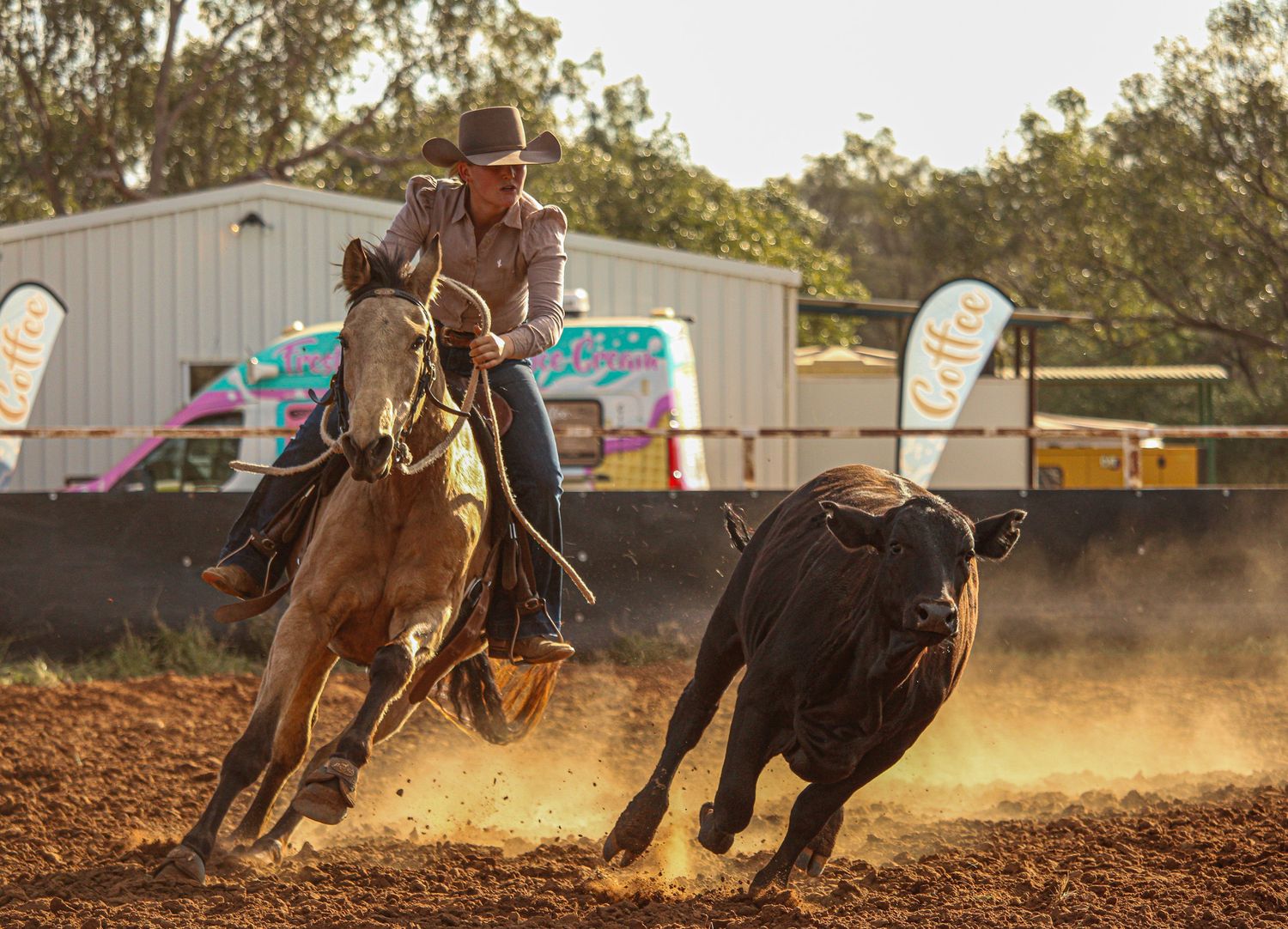 Action sequence of western riders practicing roping techniques in a dusty arena at sunset.