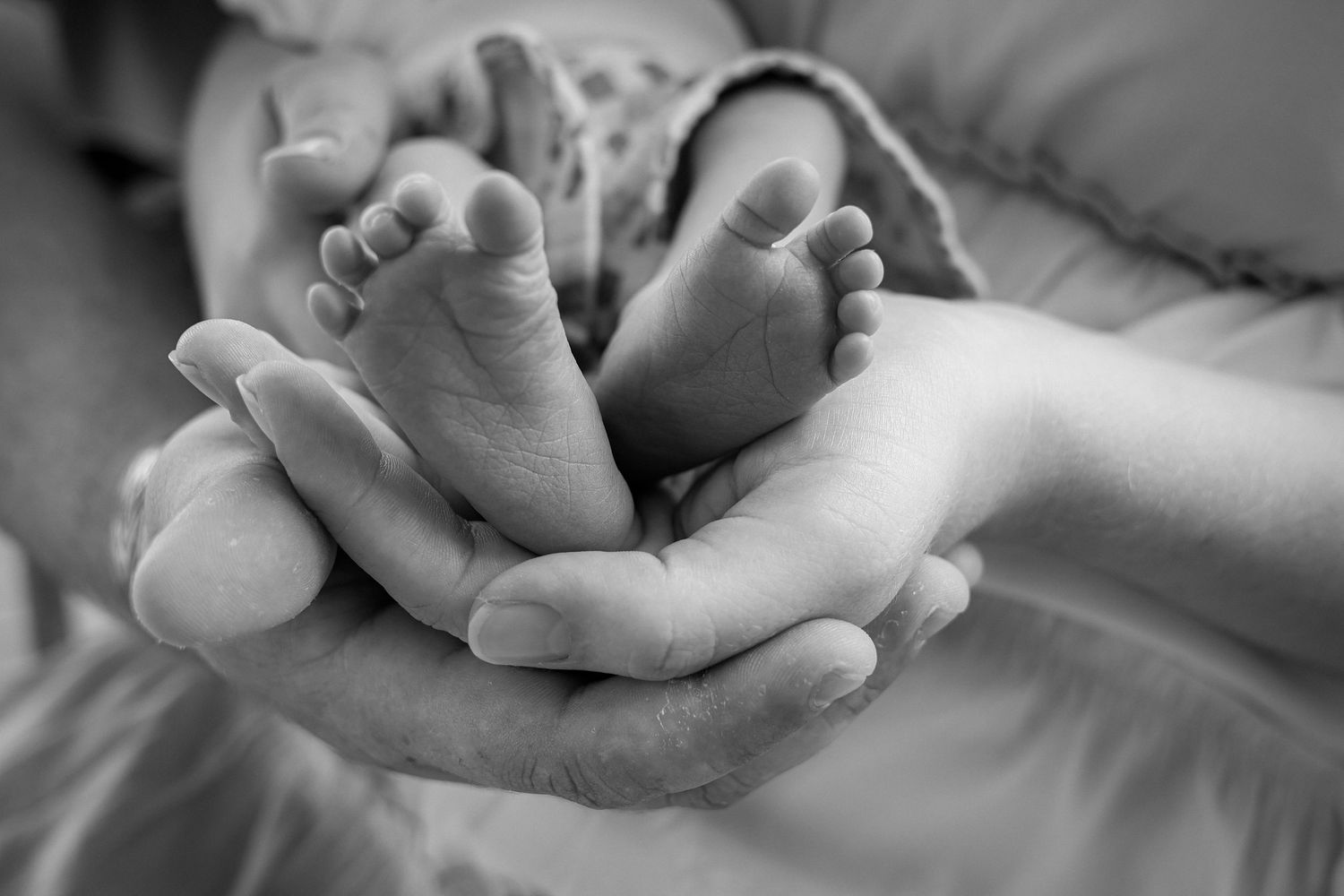 A close-up view of a tiny newborn baby's feet being gently held by adult hands.