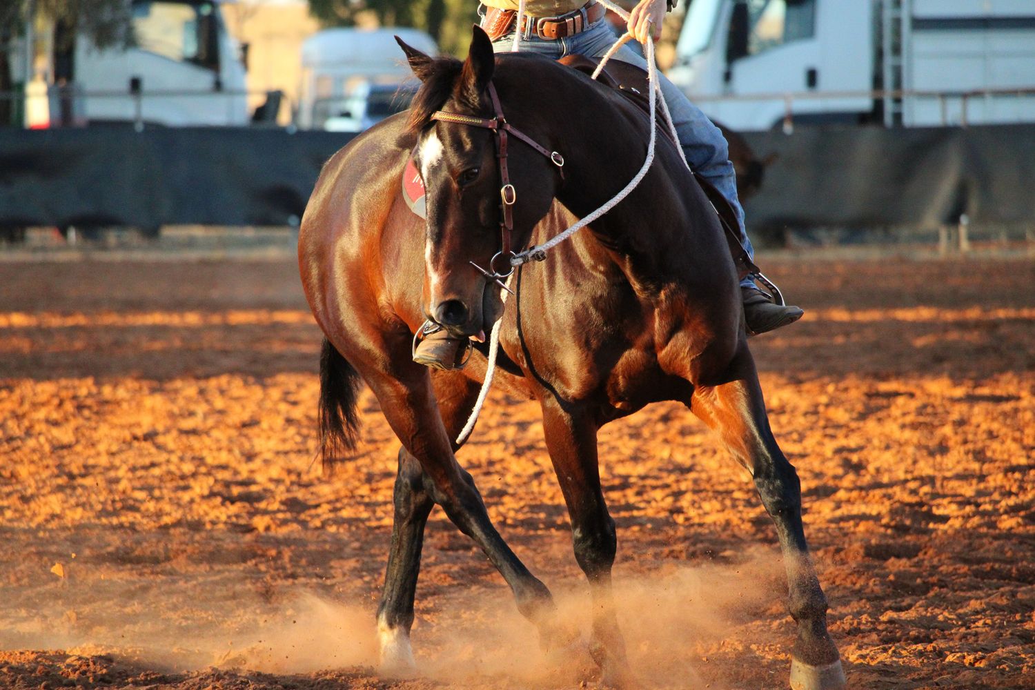 Horses kicking up dust during intense western riding competition at sunset.