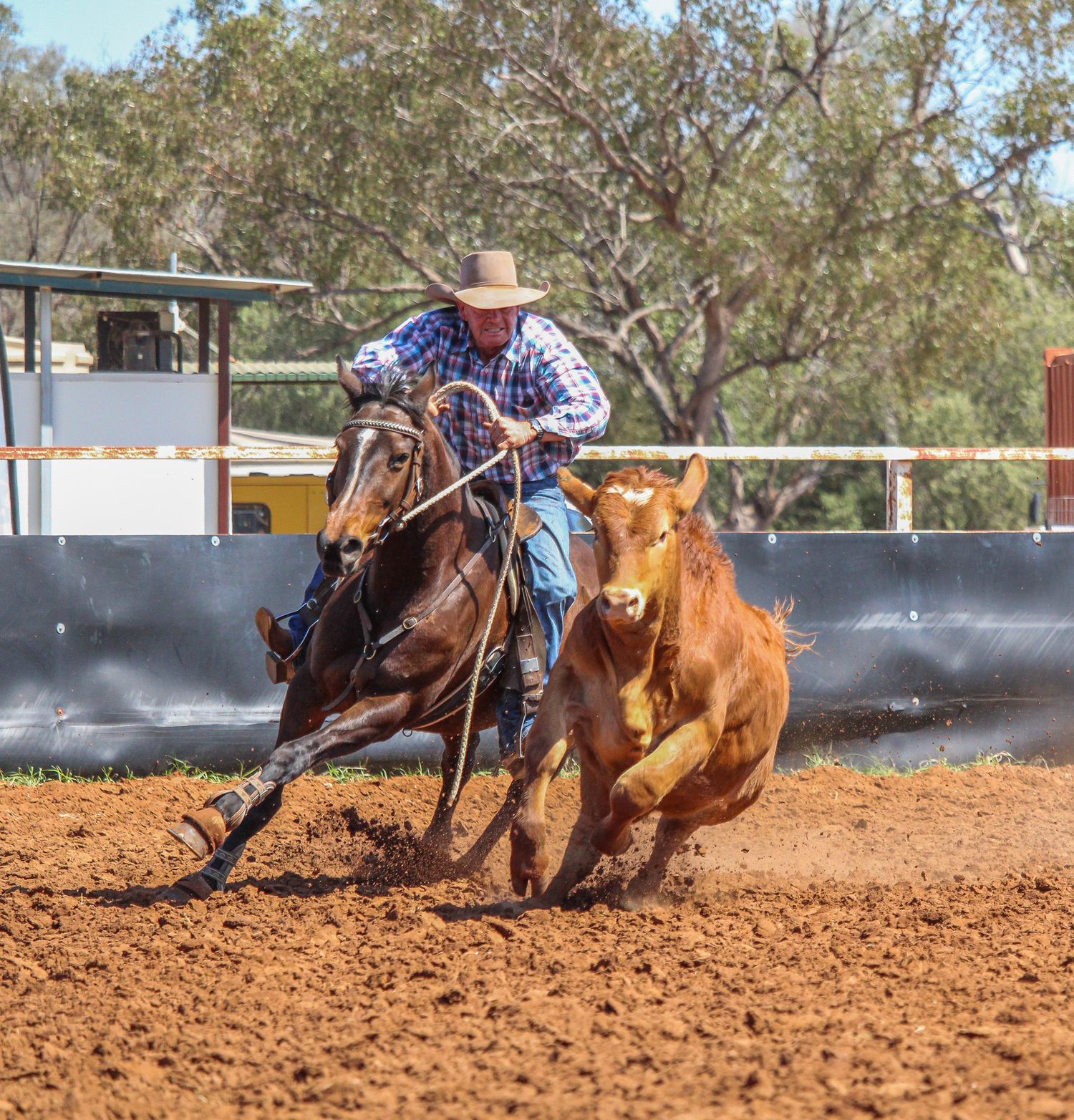 A sequence showing a horse and rider chasing a calf in a rodeo arena.