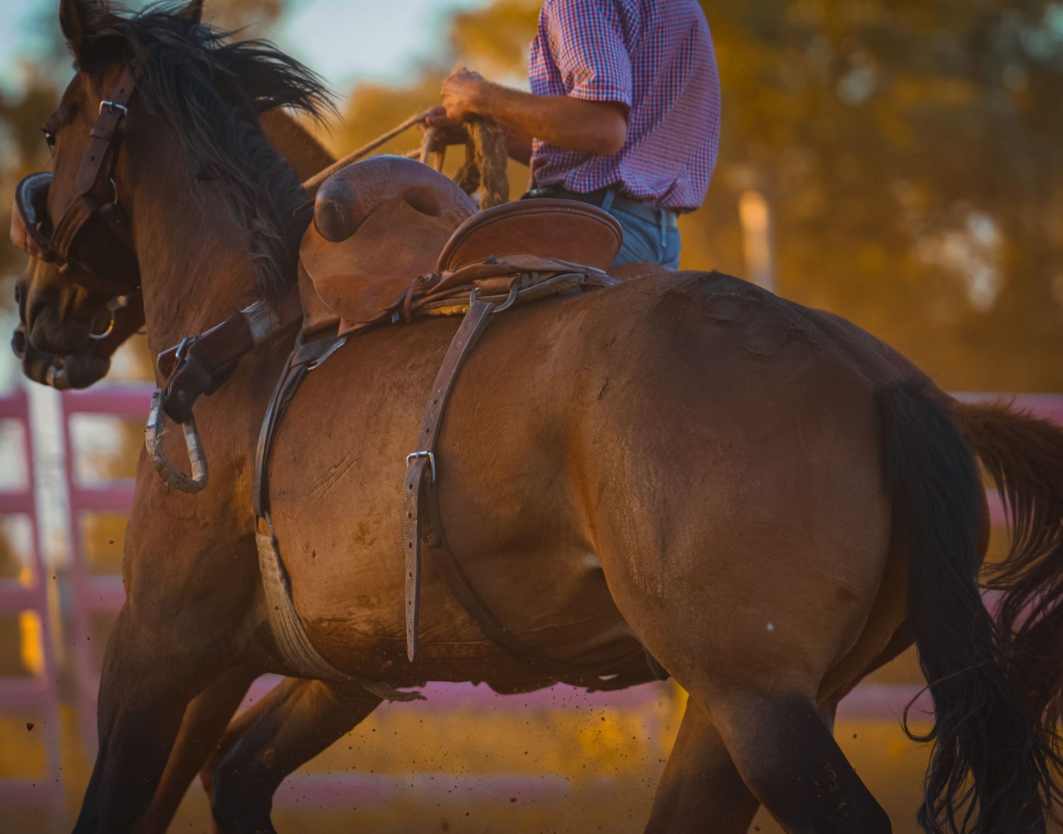 Equestrian riders on horseback compete in a barrel racing competition at a rodeo arena during sunset.